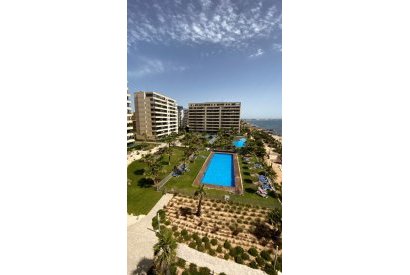 Apartment/Flat - Short time rental - Torrevieja - Punta Prima