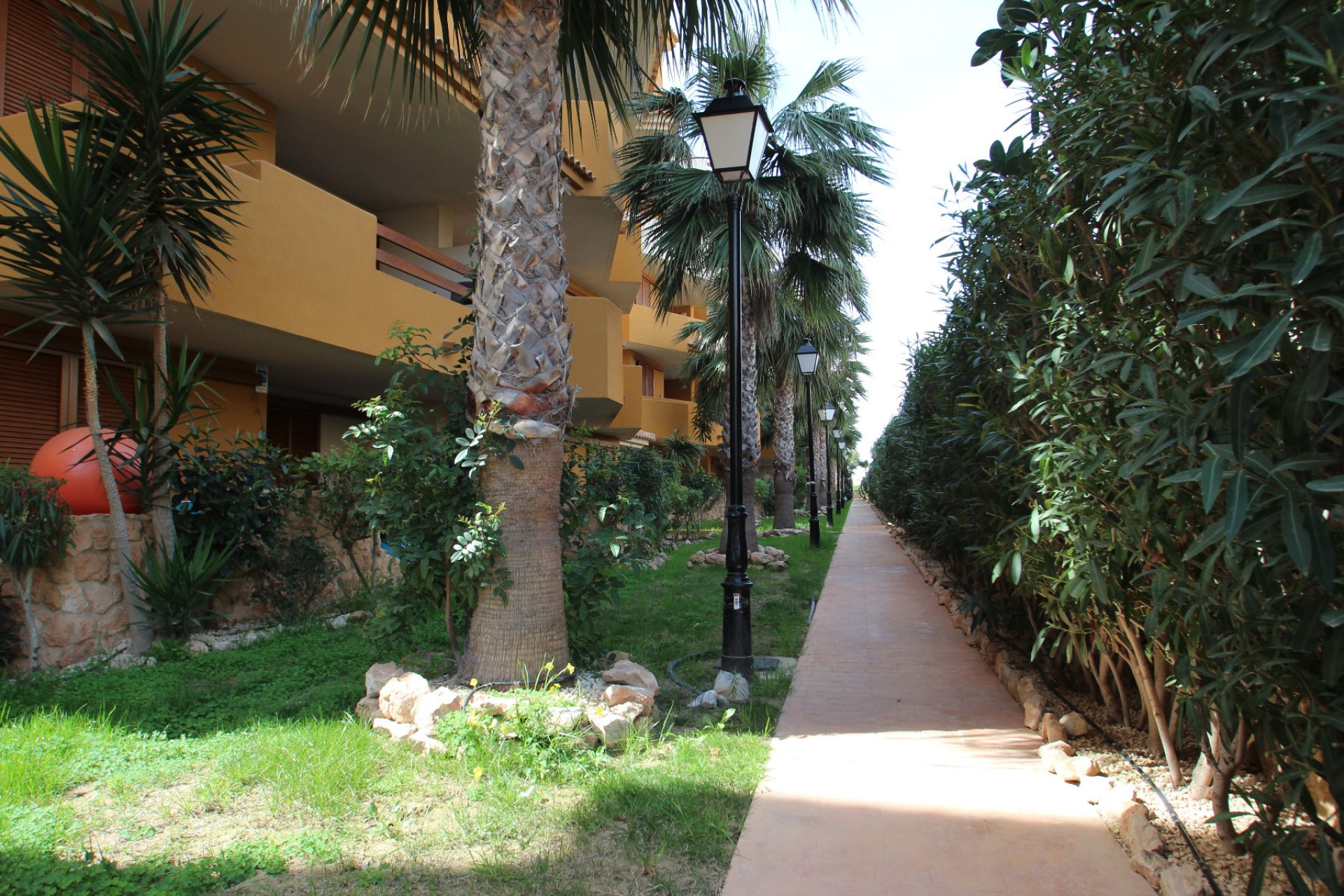 Аренда жилья на короткий срок - квартира - Torrevieja - Punta Prima