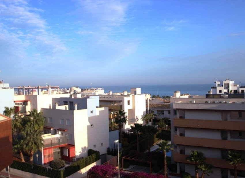 Long time Rental - Apartment/Flat - Orihuela costa - Aguamarina