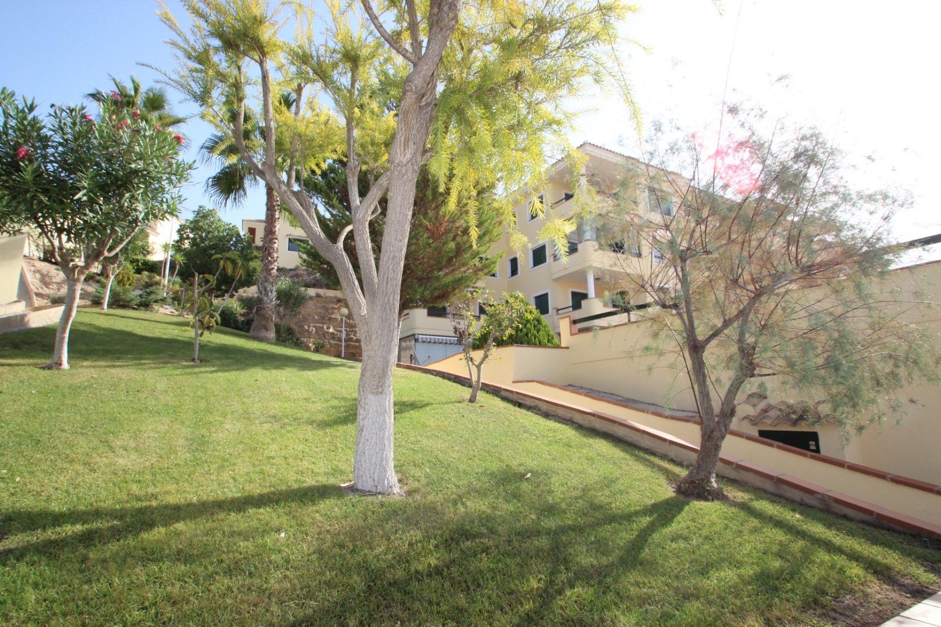 Sale - Apartment/Flat - Orihuela costa - Dehesa de Campoamor