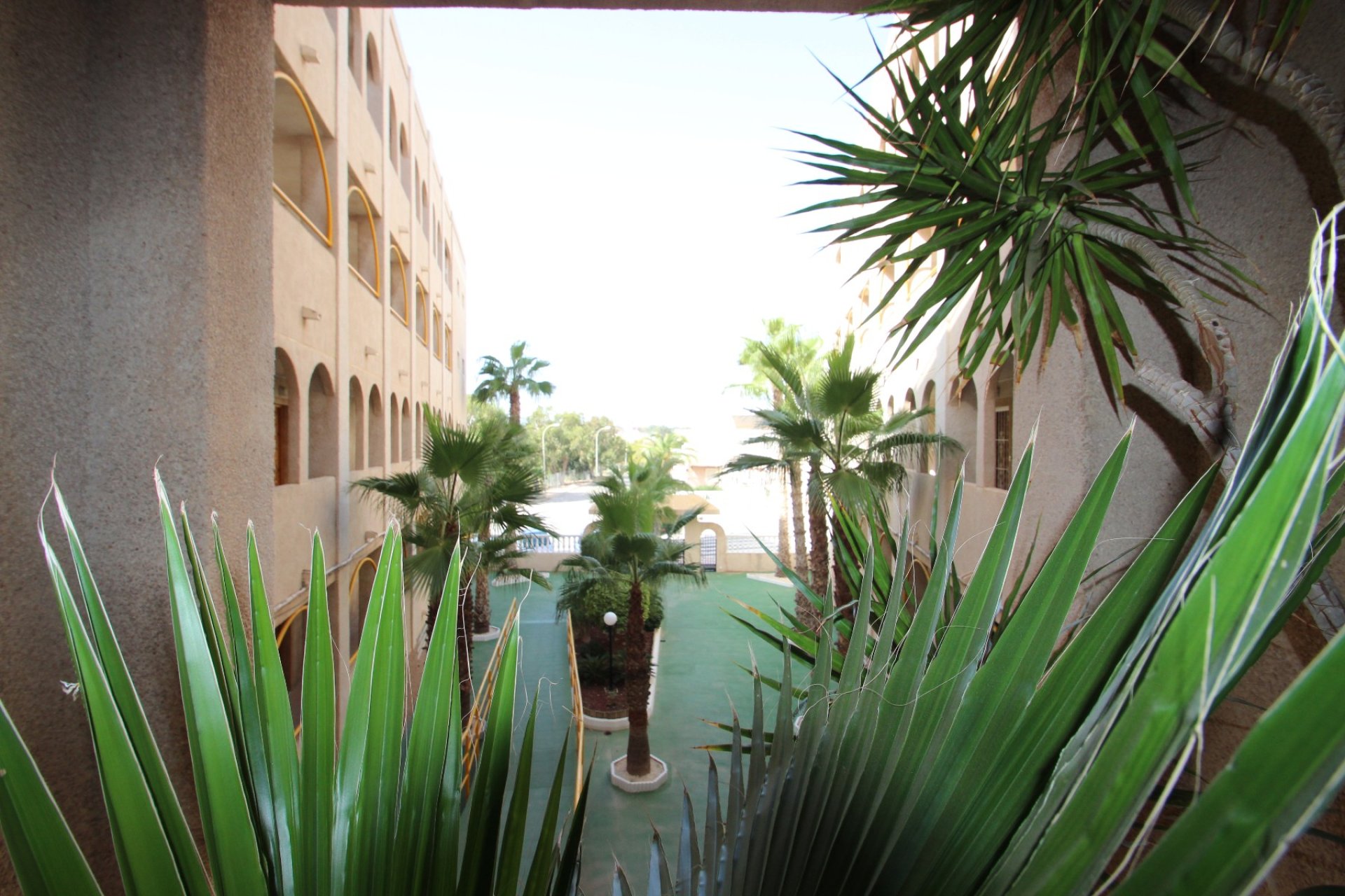 Sale - Apartment/Flat - Pilar de la Horadada - Mil Palmeras