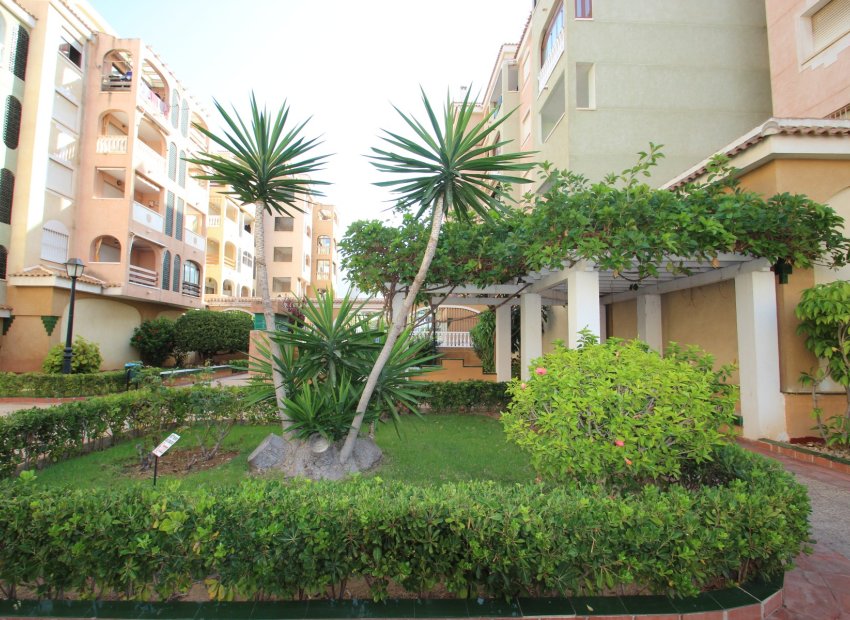 Sale - Apartment/Flat - Torrevieja - Centro Ciudad