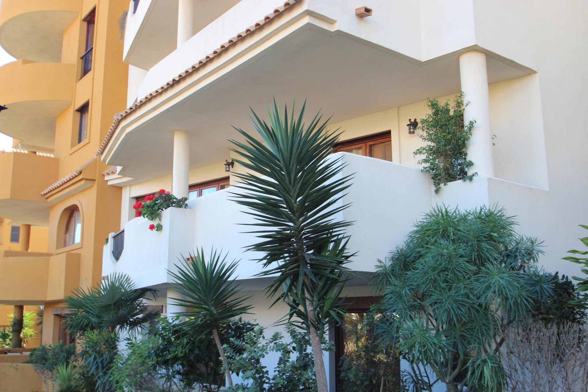 Sale - Apartment/Flat - Torrevieja - Punta Prima
