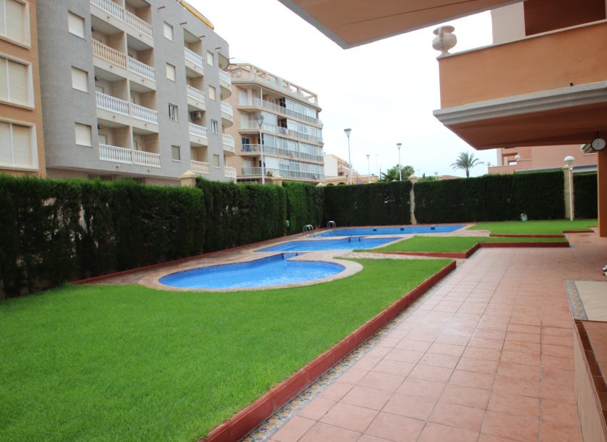 Sale - Duplex - Torrevieja - Centro Ciudad