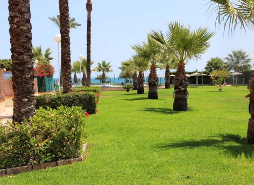 Sale - Penthouse - Orihuela costa - Aguamarina