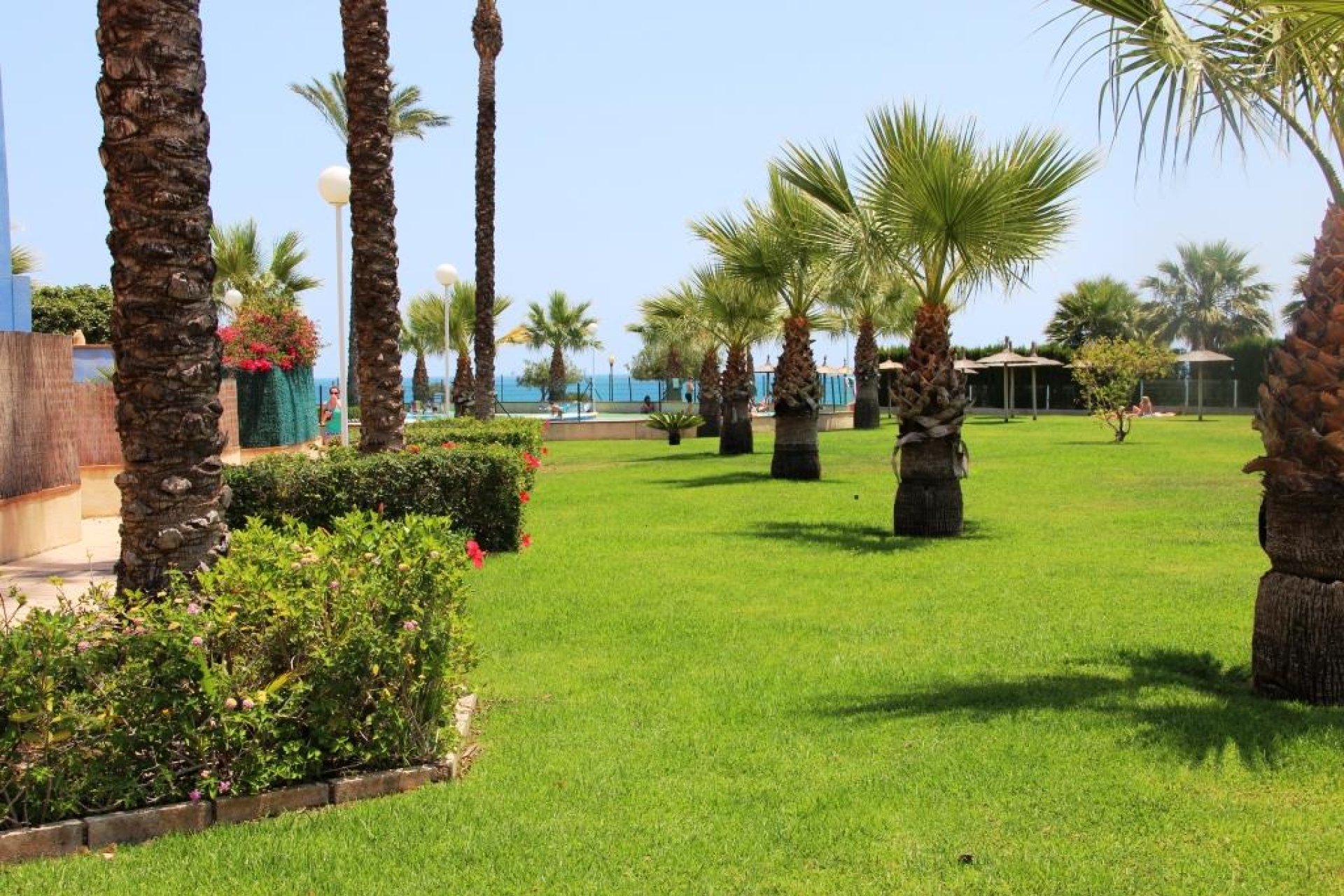 Sale - Penthouse - Orihuela costa - Aguamarina