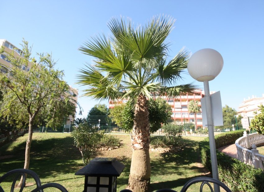 Sale - Studio apartment - Torrevieja - La Mata