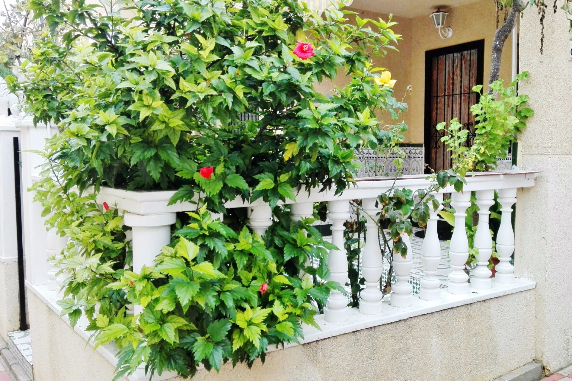 Sale - Townhouse - Torrevieja - Centro Ciudad