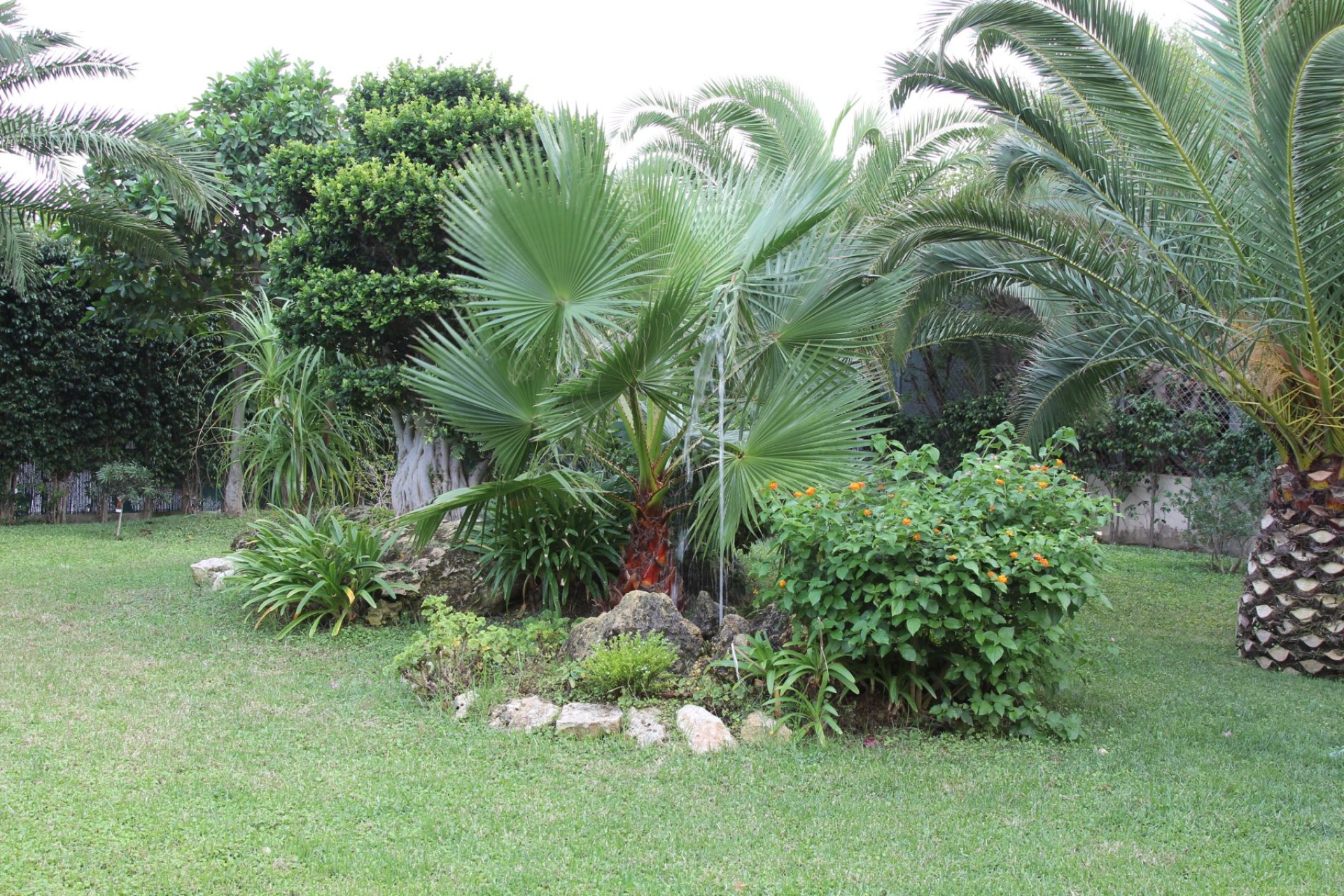 Sale - Villa - Cabo Roig