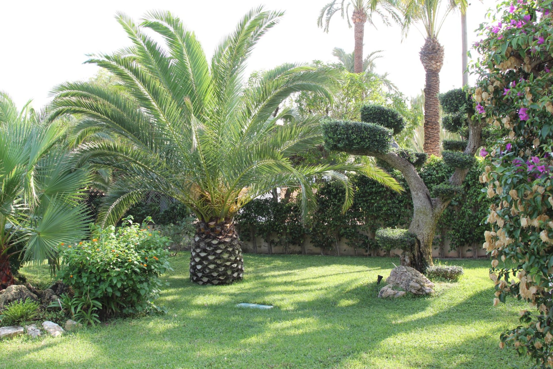Sale - Villa - Cabo Roig