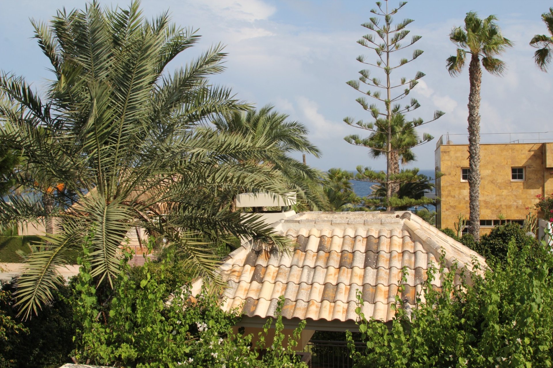 Sale - Villa - Cabo Roig