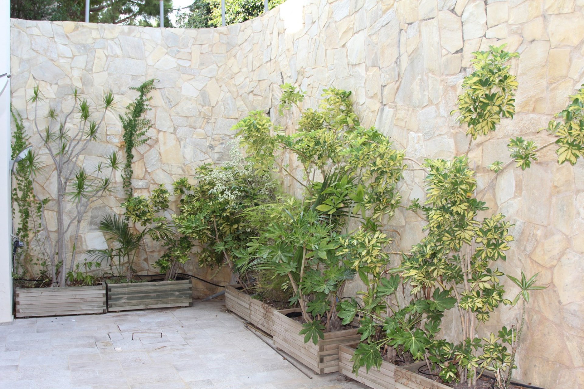 Sale - Villa - Cabo Roig