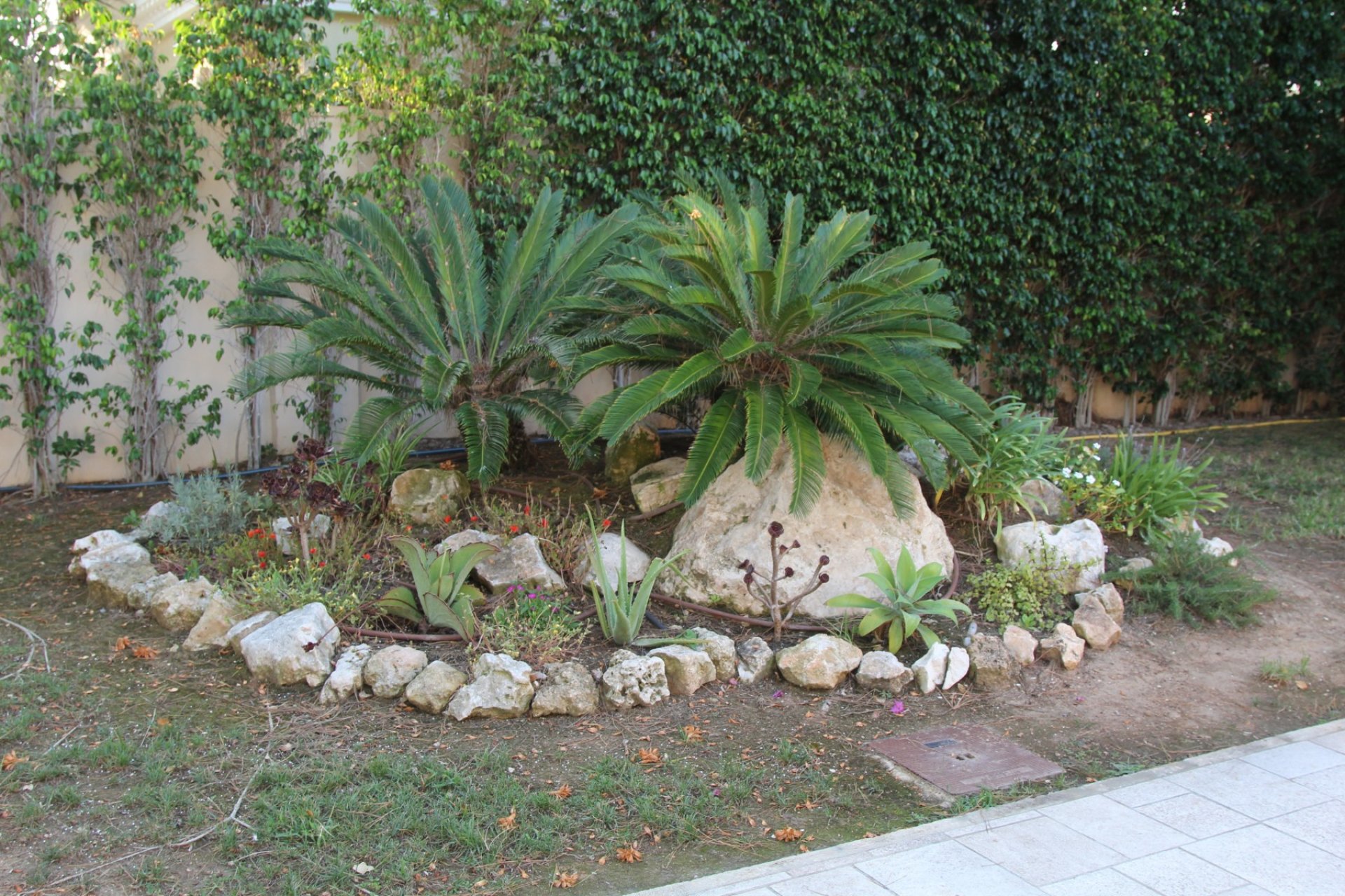 Sale - Villa - Cabo Roig