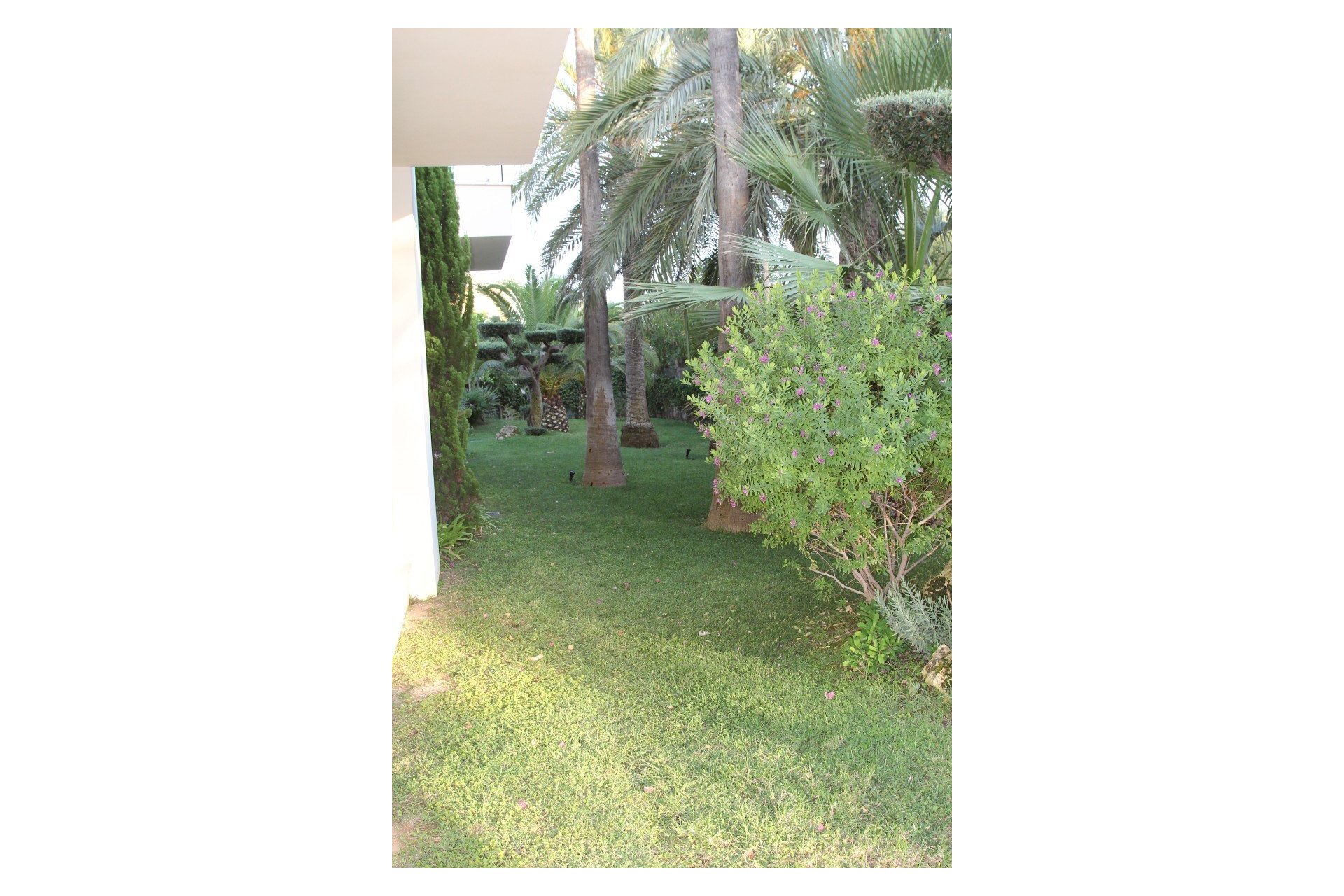 Sale - Villa - Cabo Roig