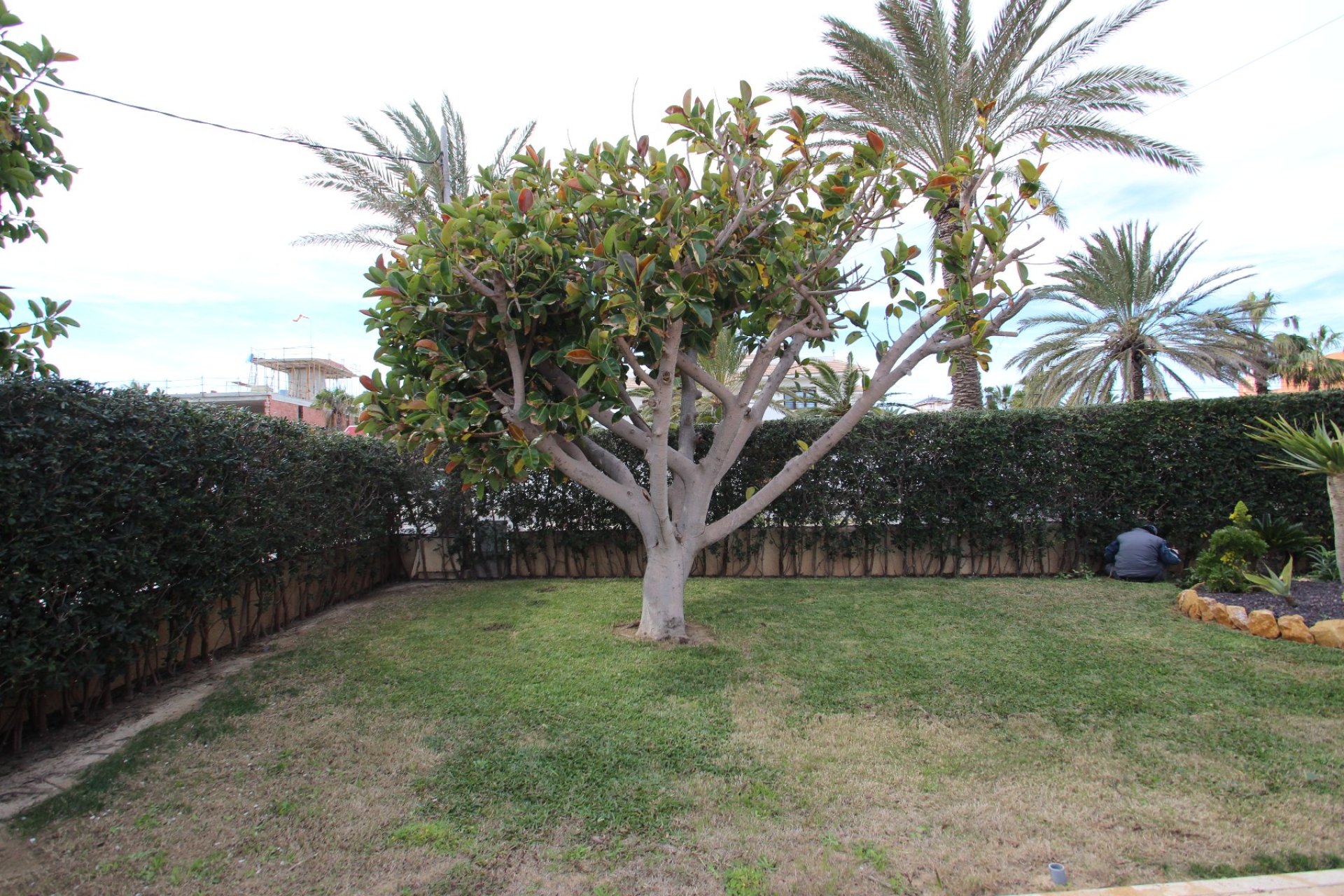 Sale - Villa - Orihuela costa - Cabo Roig