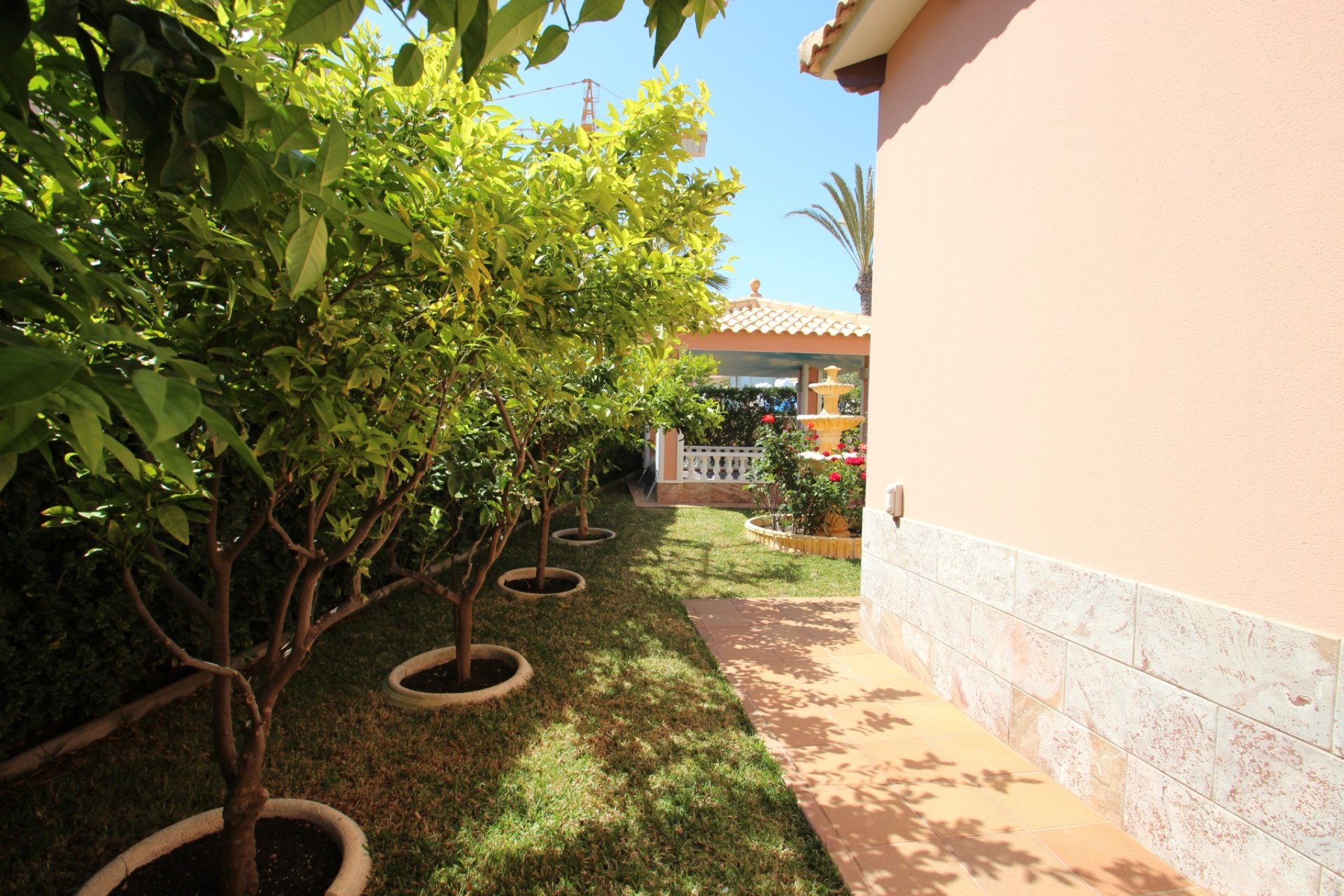 Sale - Villa - Orihuela costa - La Zenia