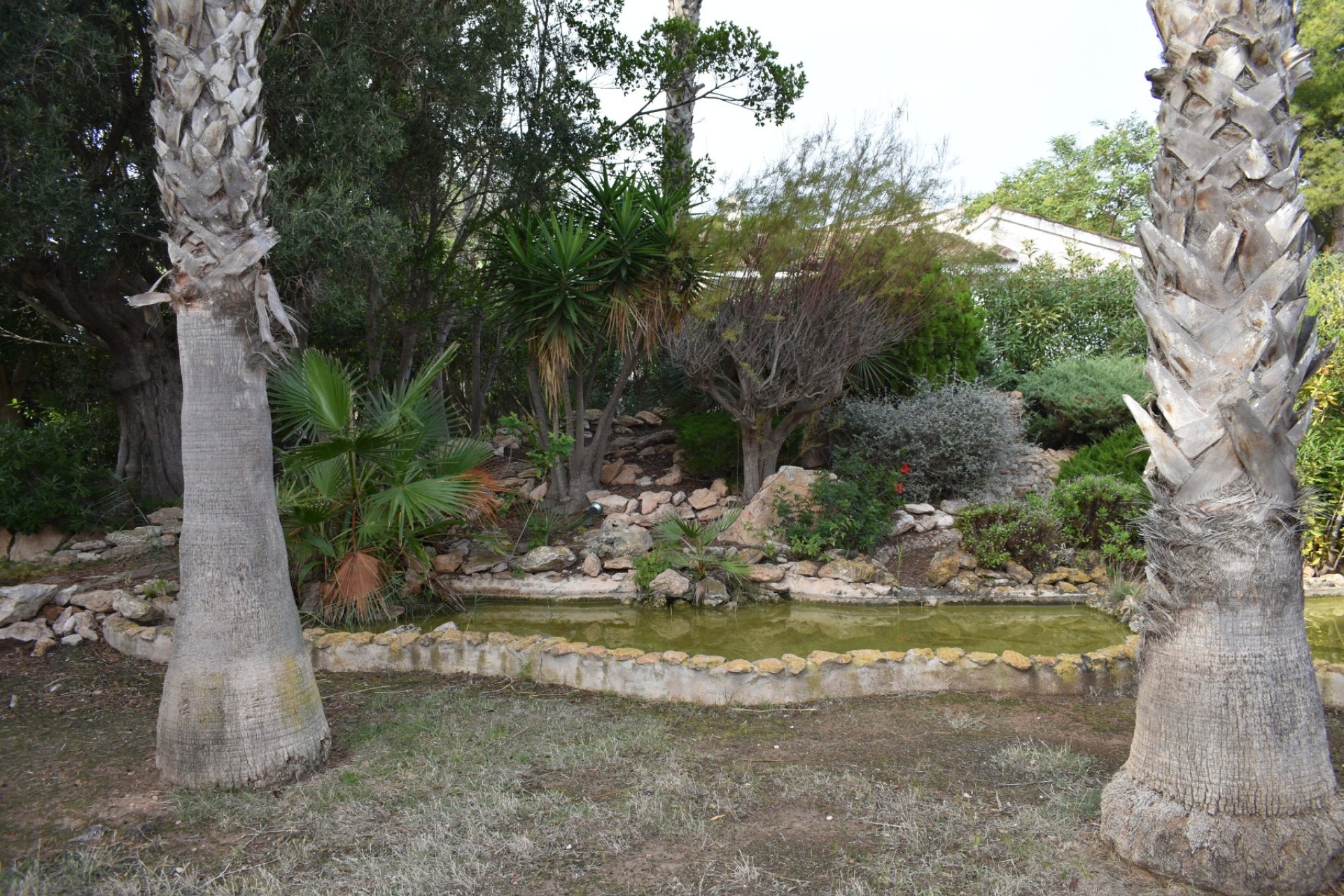 Sale - Villa - Orihuela costa - La Zenia