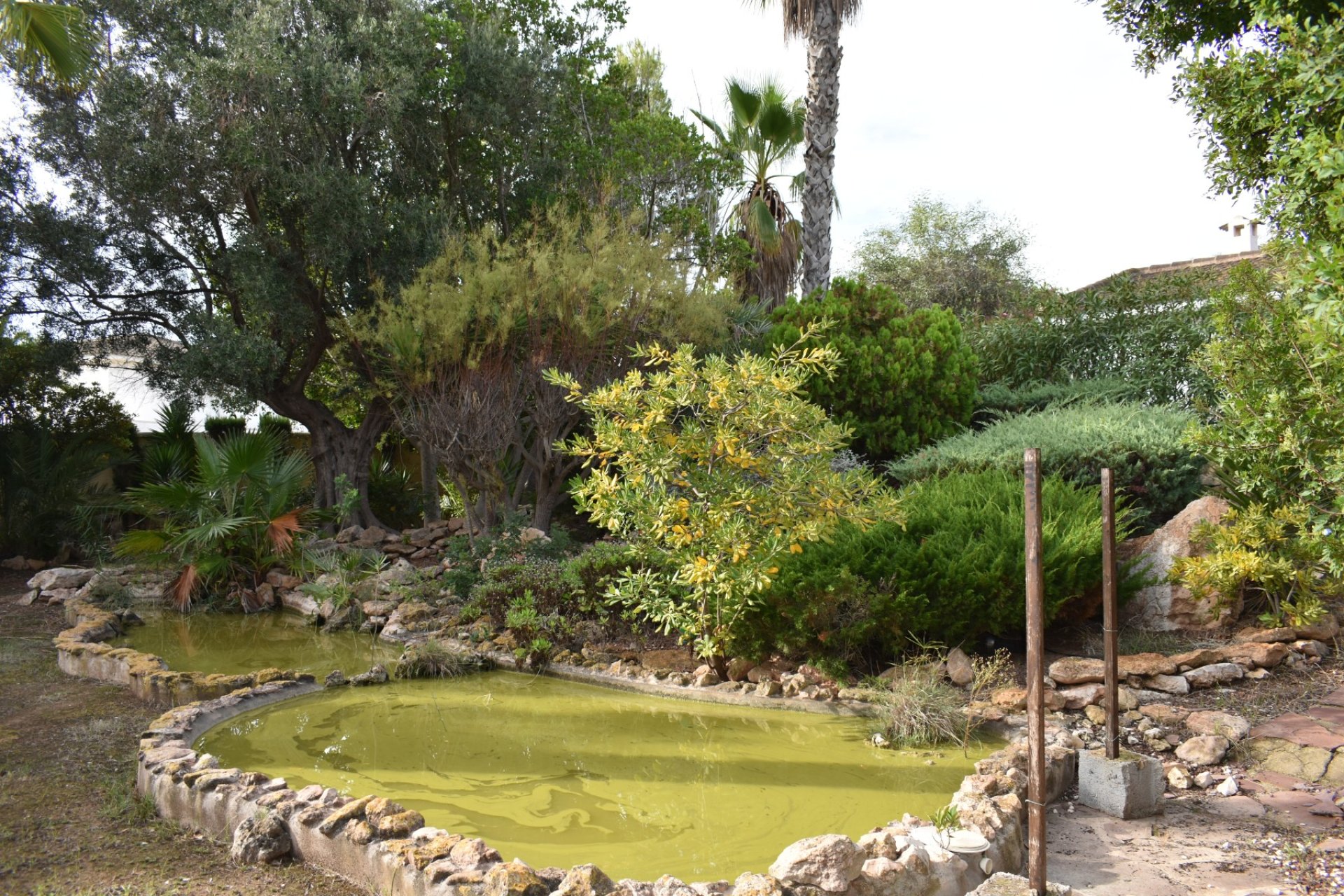 Sale - Villa - Orihuela costa - La Zenia