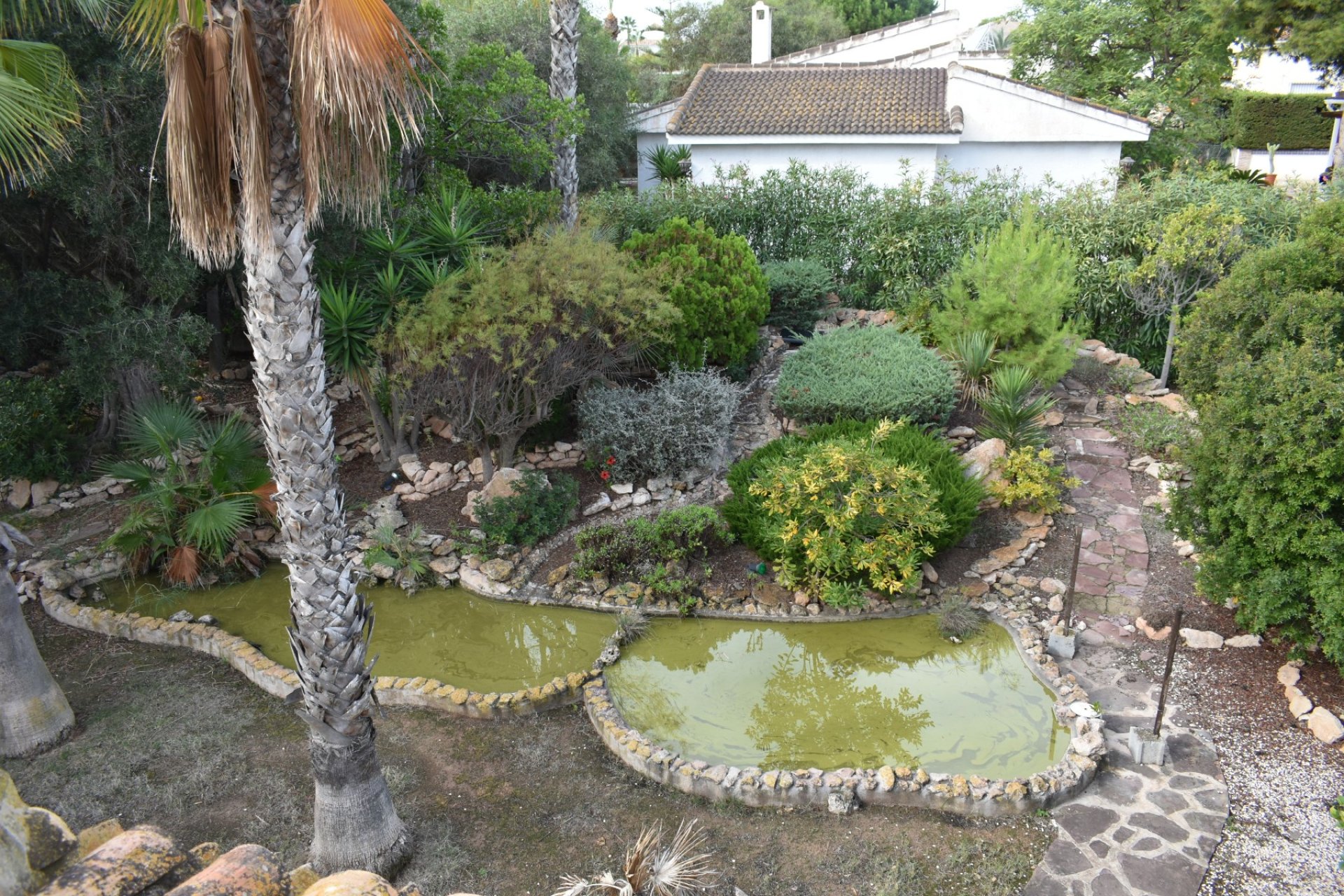 Sale - Villa - Orihuela costa - La Zenia