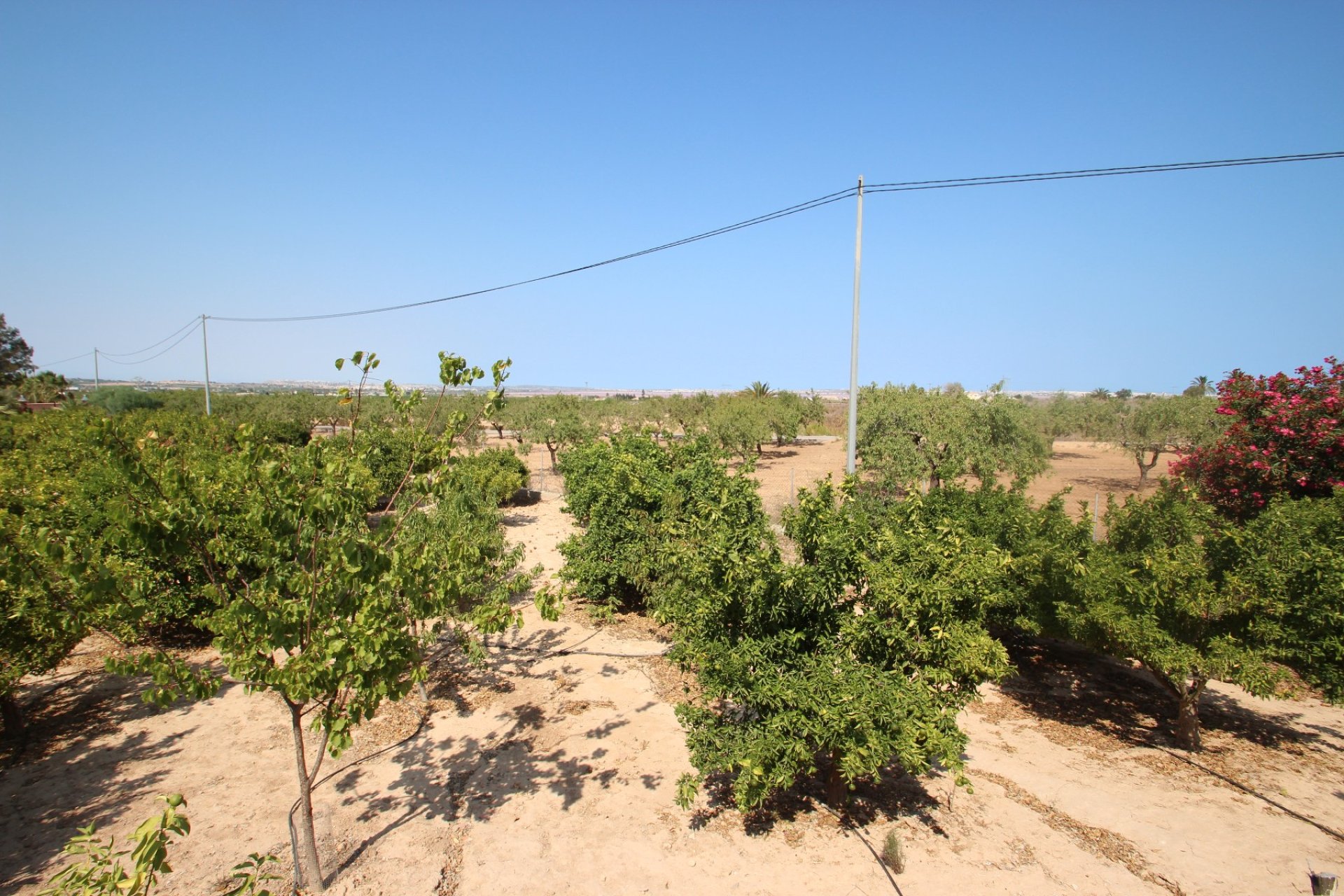 Sale - Villa - San Miguel de Salinas