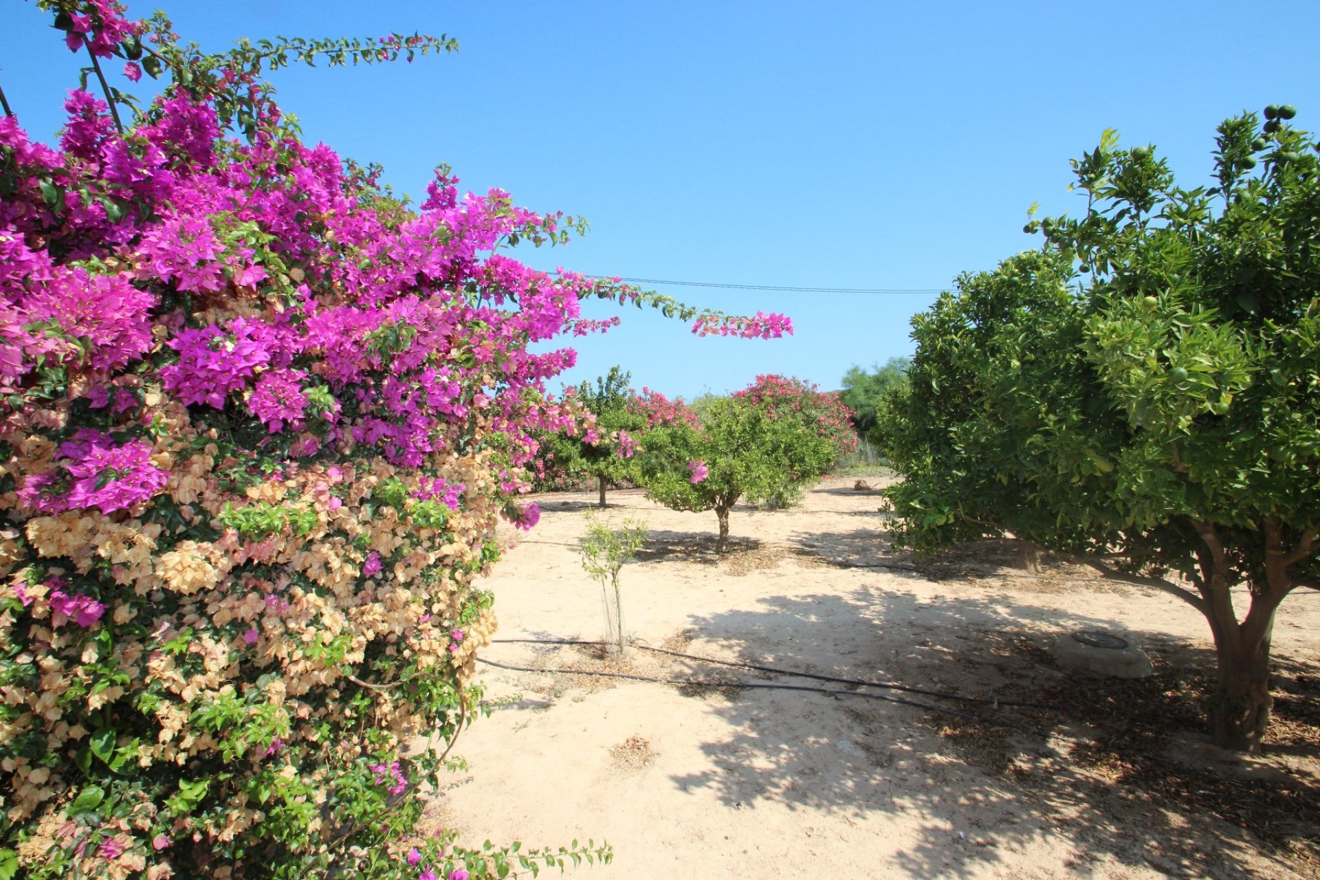 Sale - Villa - San Miguel de Salinas