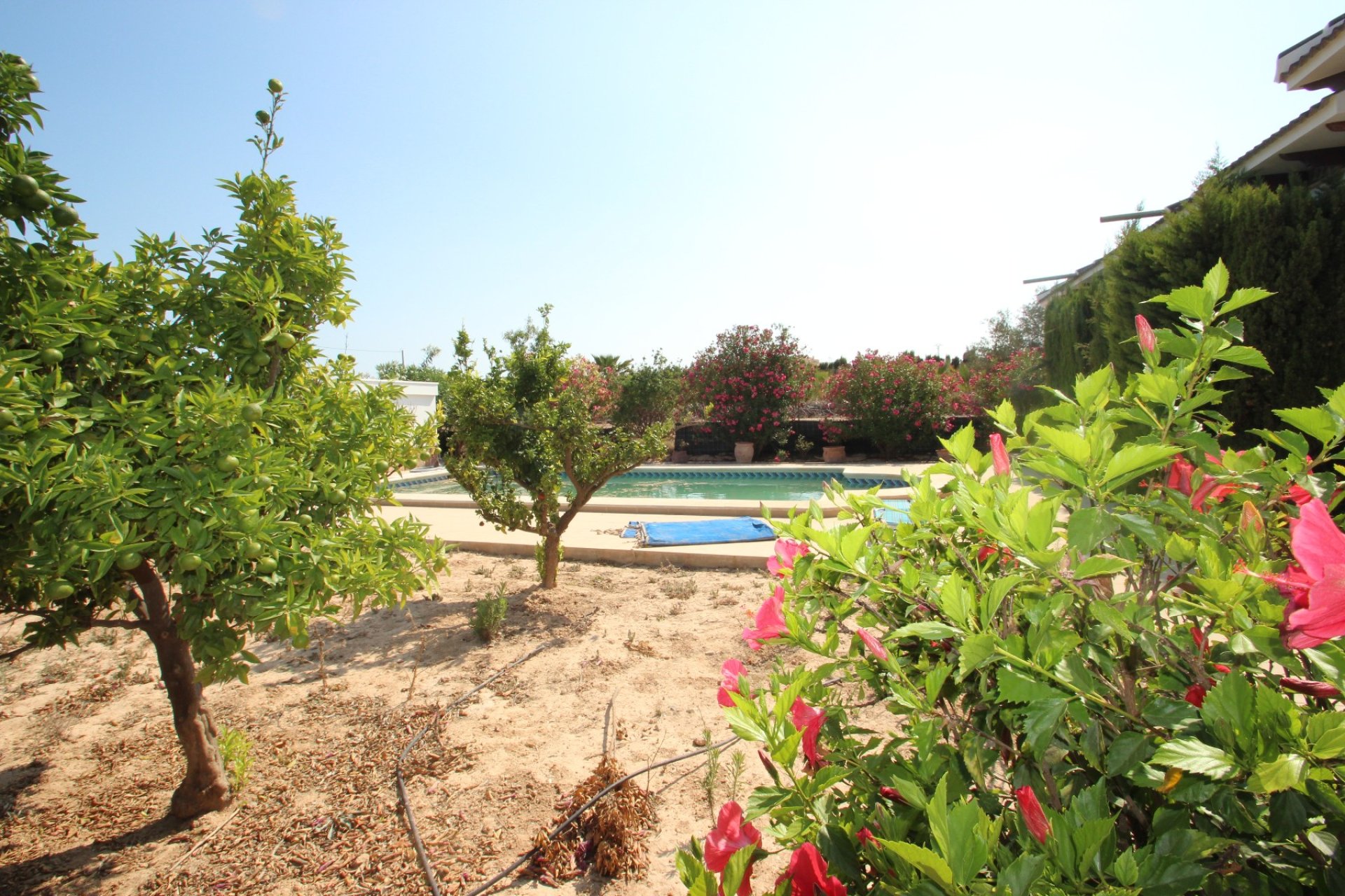 Sale - Villa - San Miguel de Salinas