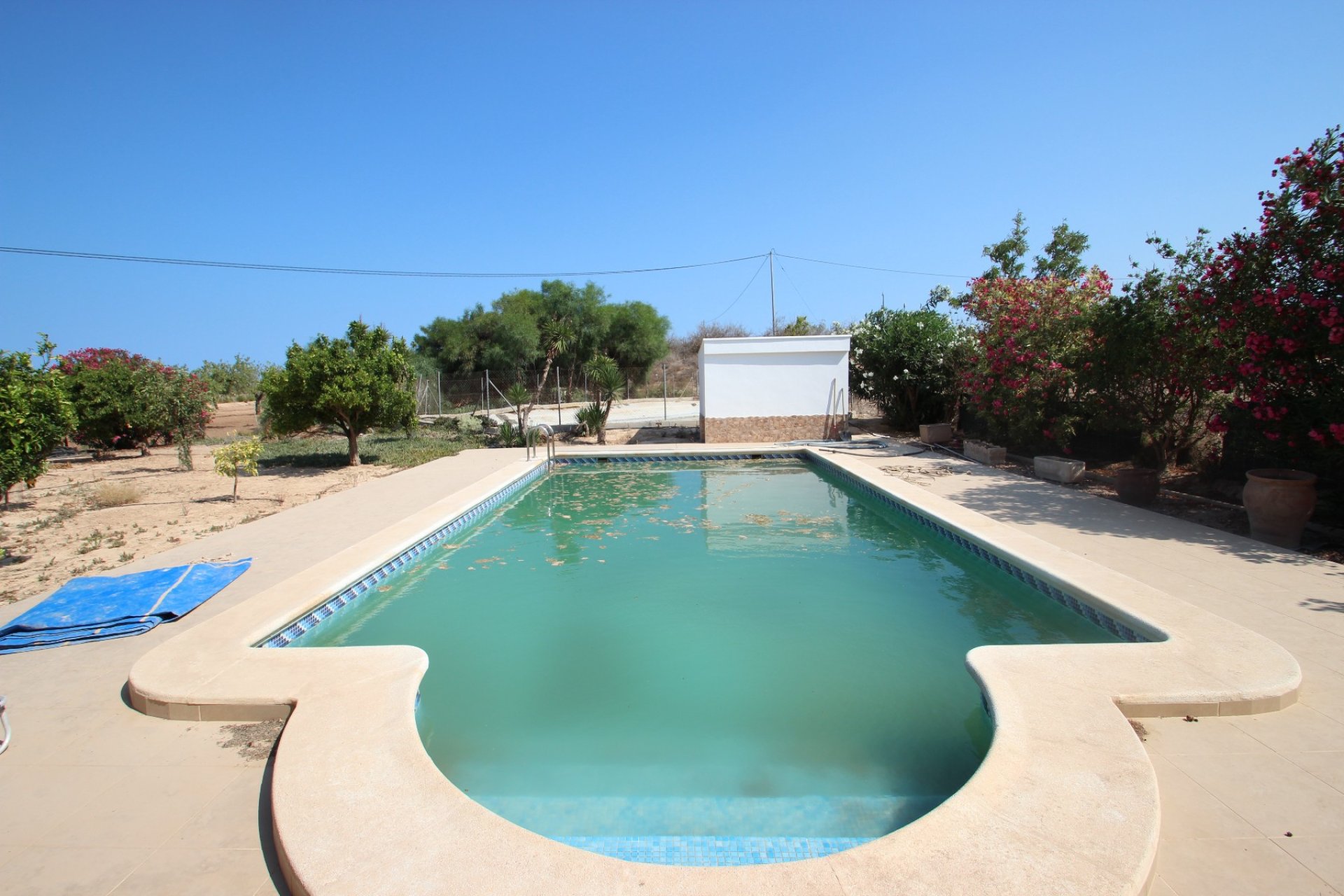 Sale - Villa - San Miguel de Salinas