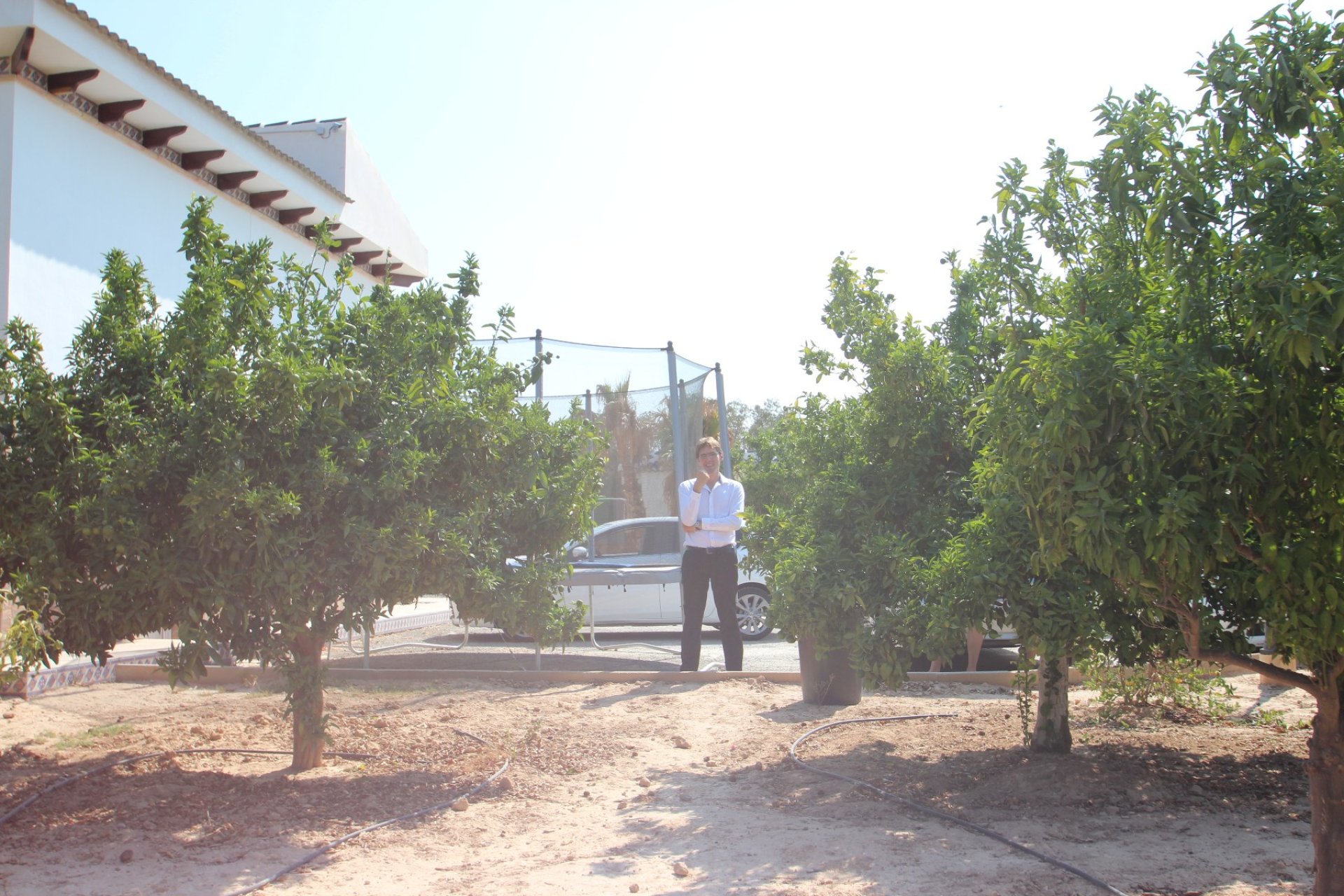 Sale - Villa - San Miguel de Salinas