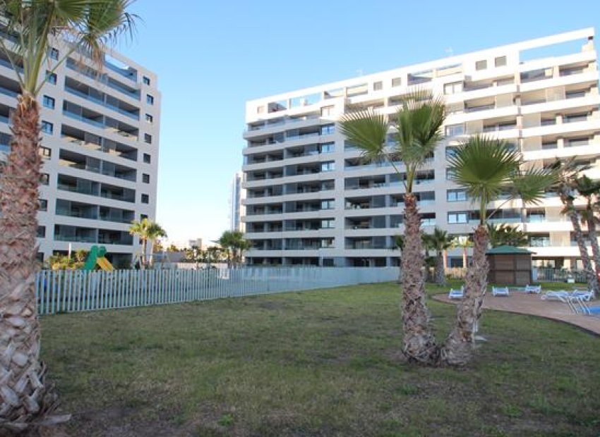 Short time rental - Apartment/Flat - Torrevieja - Punta Prima