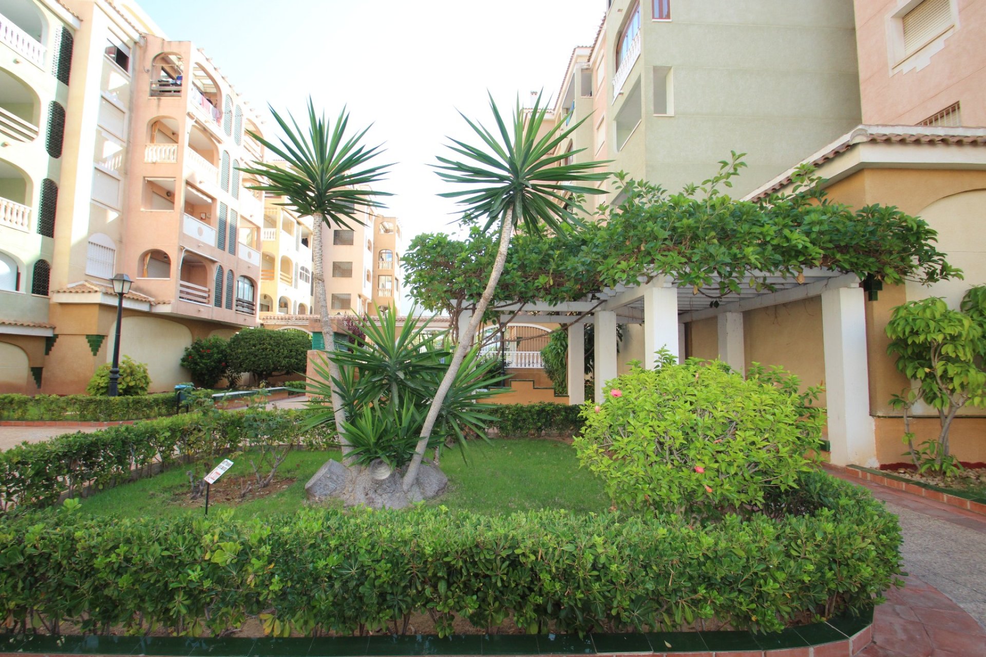 Venta - Apartamento/Piso - Torrevieja - Centro Ciudad
