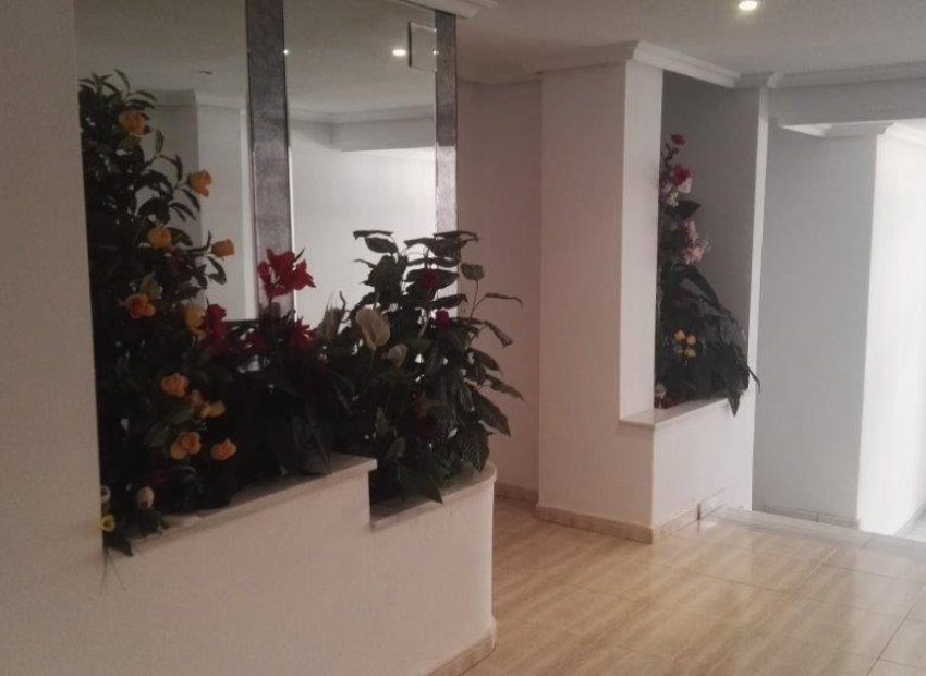 Venta - Apartamento/Piso - Torrevieja - Centro Ciudad