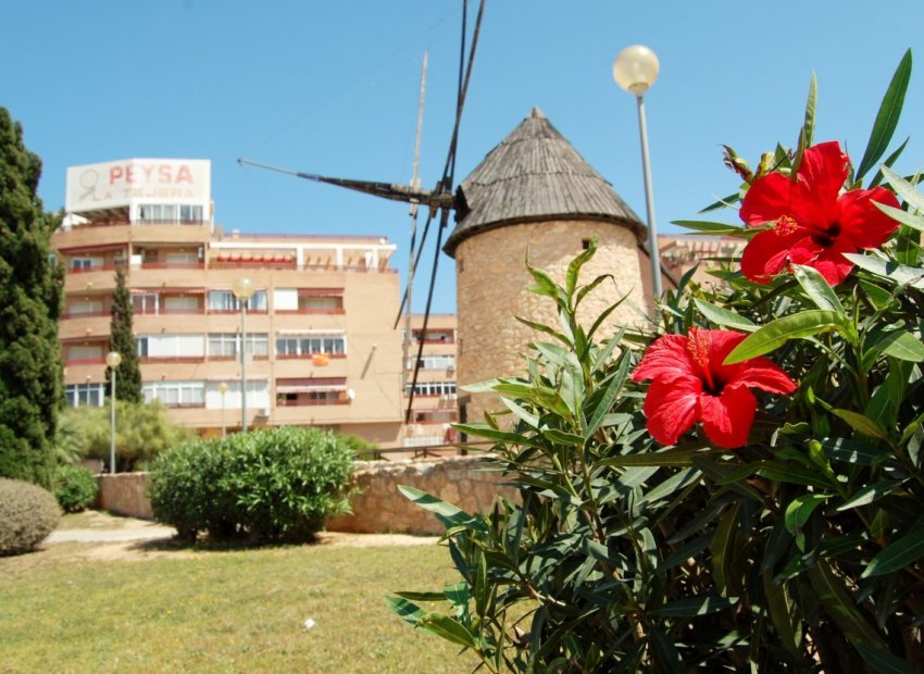 Venta - Apartamento/Piso - Torrevieja - Centro Ciudad