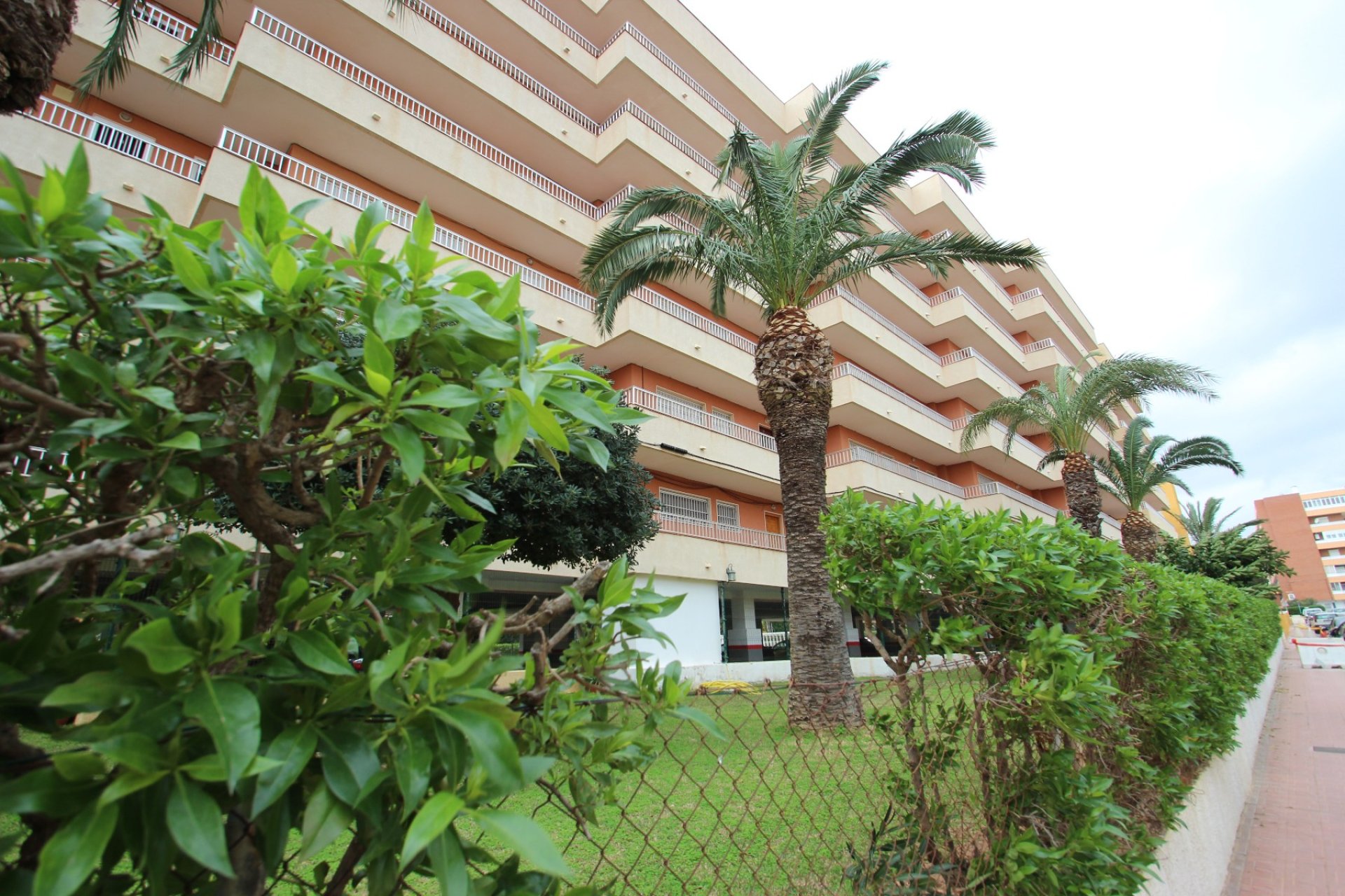 Venta - Apartamento/Piso - Torrevieja - Punta Prima