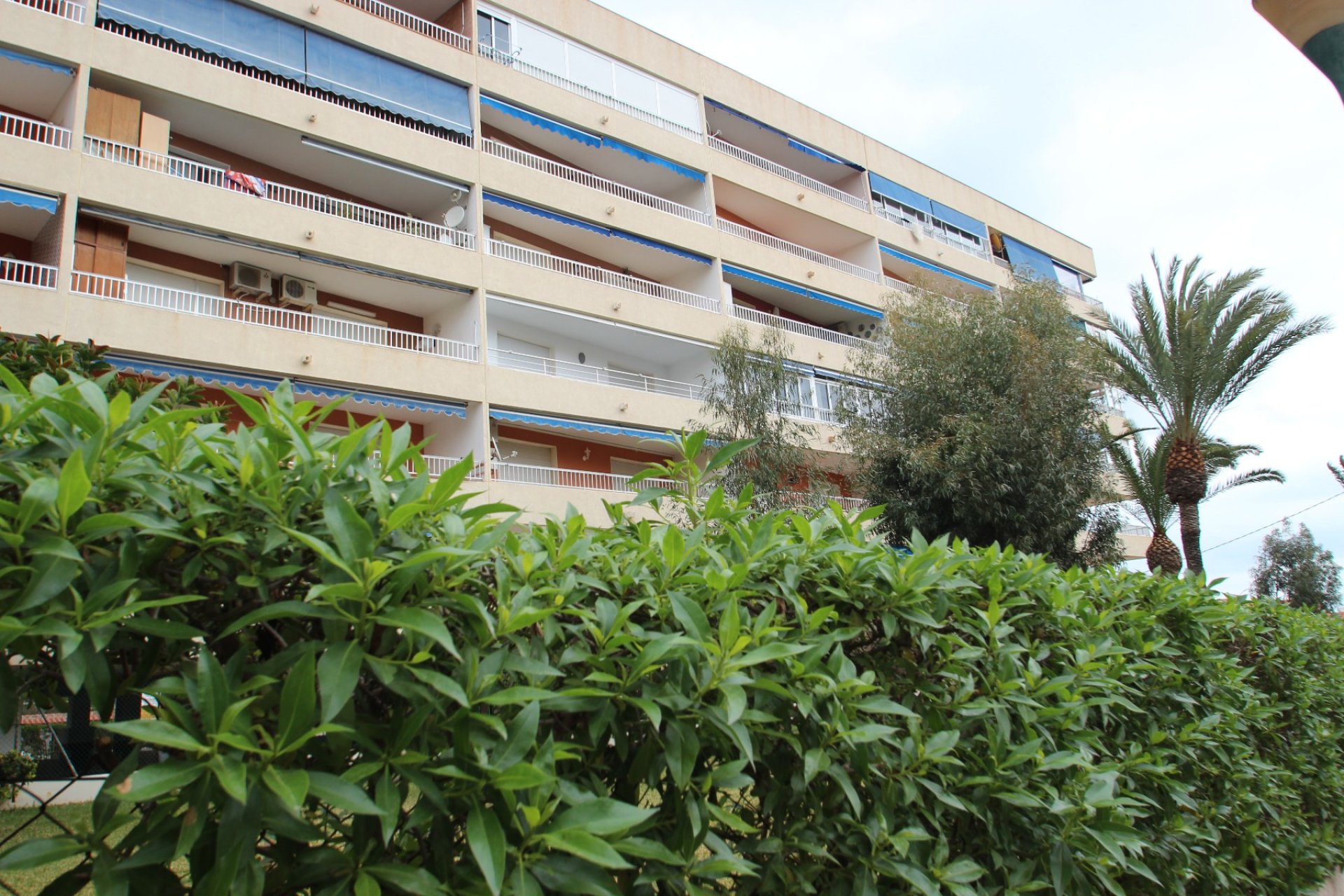 Venta - Apartamento/Piso - Torrevieja - Punta Prima