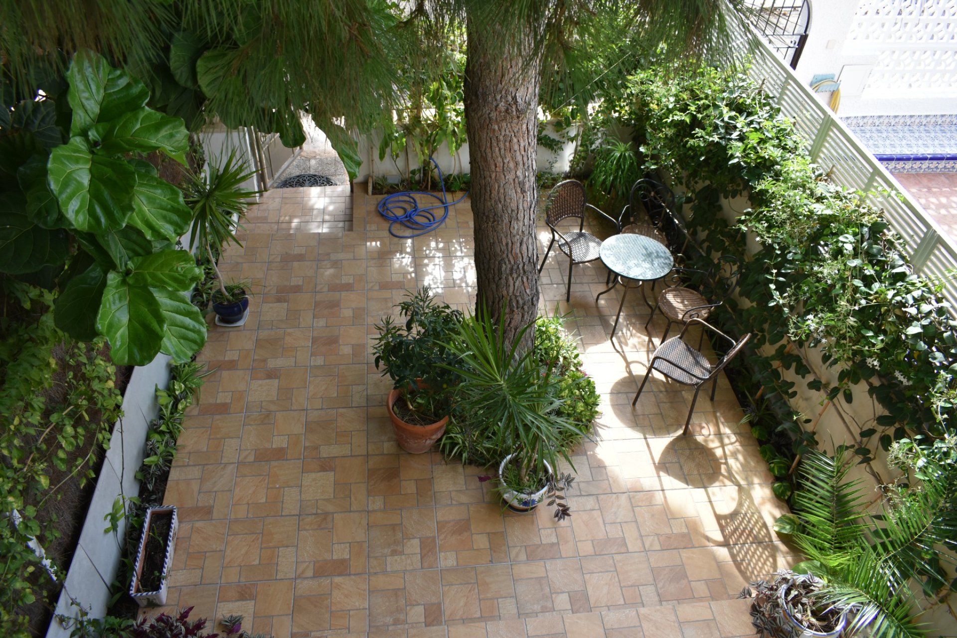 Venta - Bungalow - Orihuela costa - La Zenia