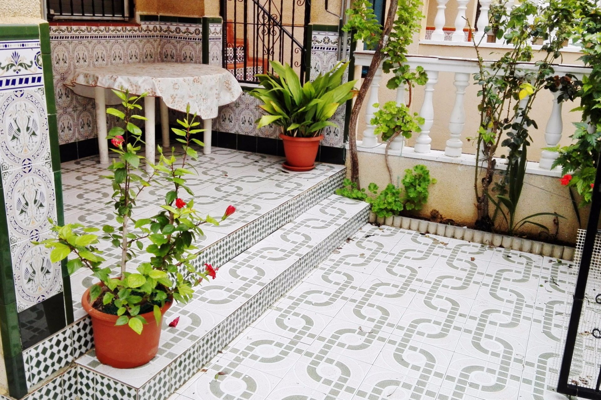 Venta - Bungalow - Torrevieja - Centro Ciudad