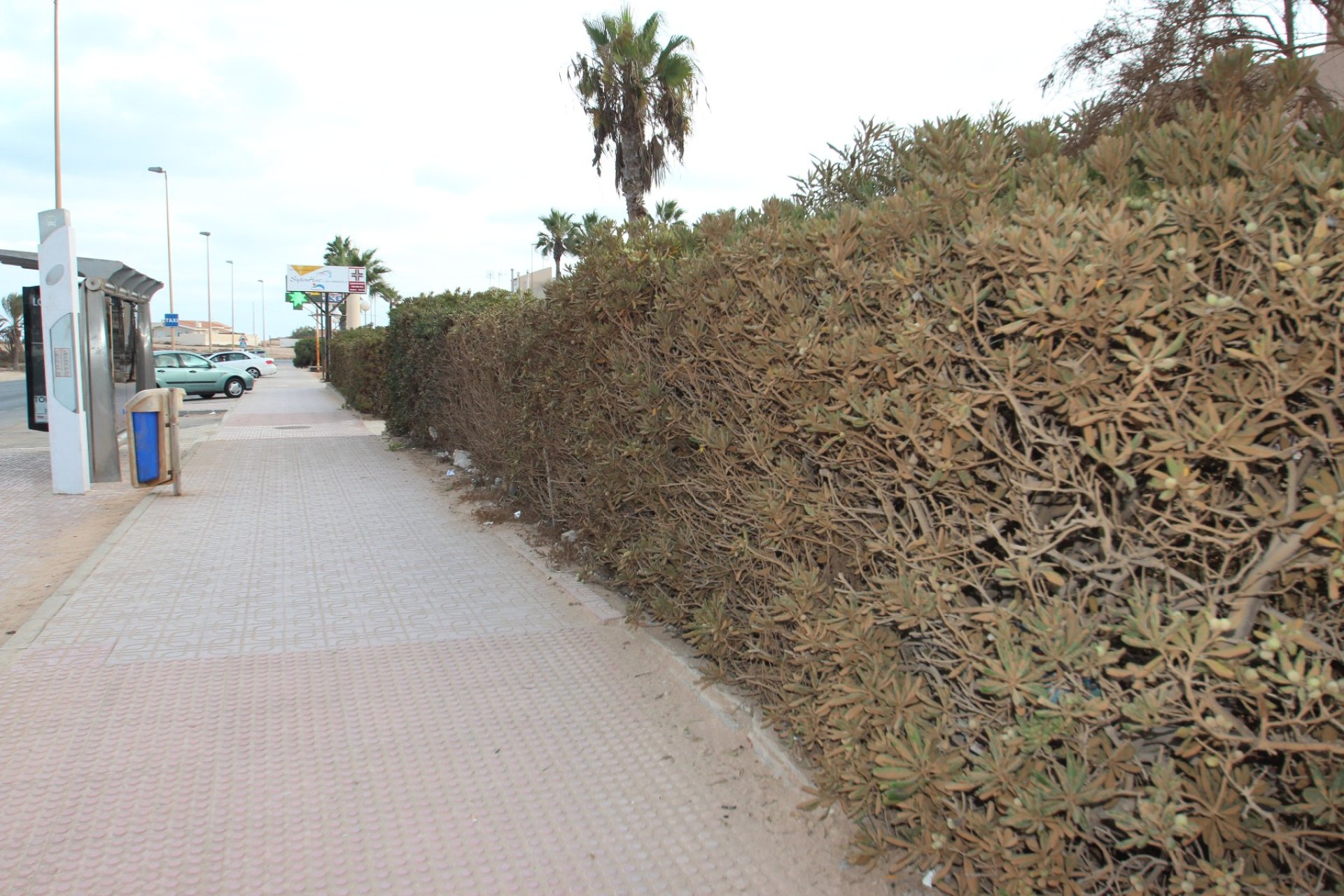 Venta - Bungalow - Torrevieja - La Mata