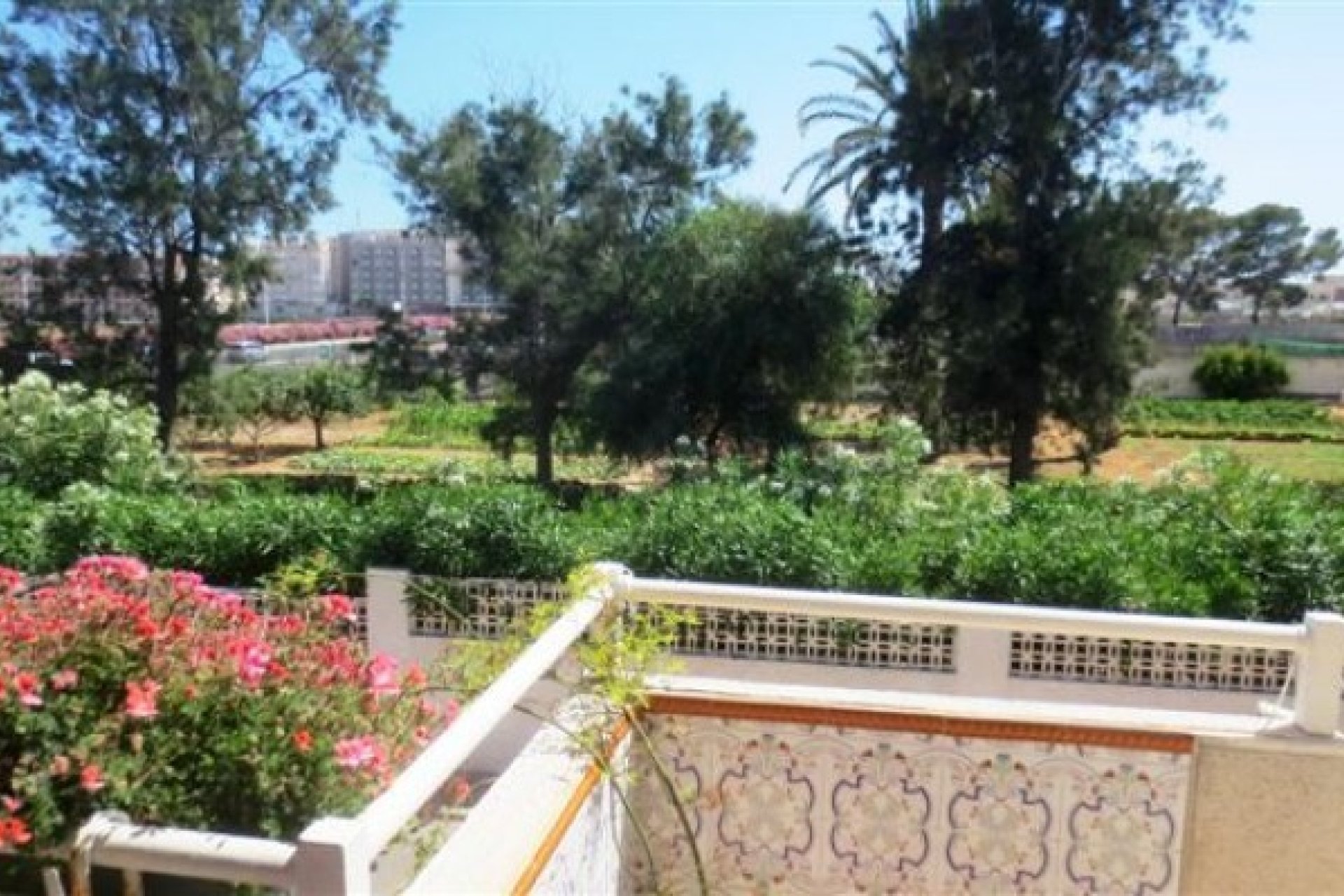 Venta - Bungalow - Torrevieja - Los Balcones 