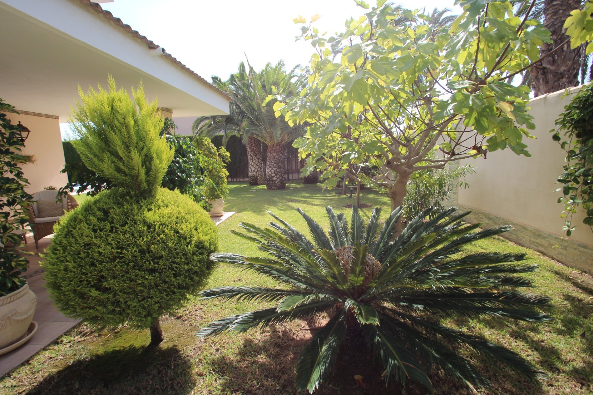 Venta - Casa - Orihuela costa - Cabo Roig
