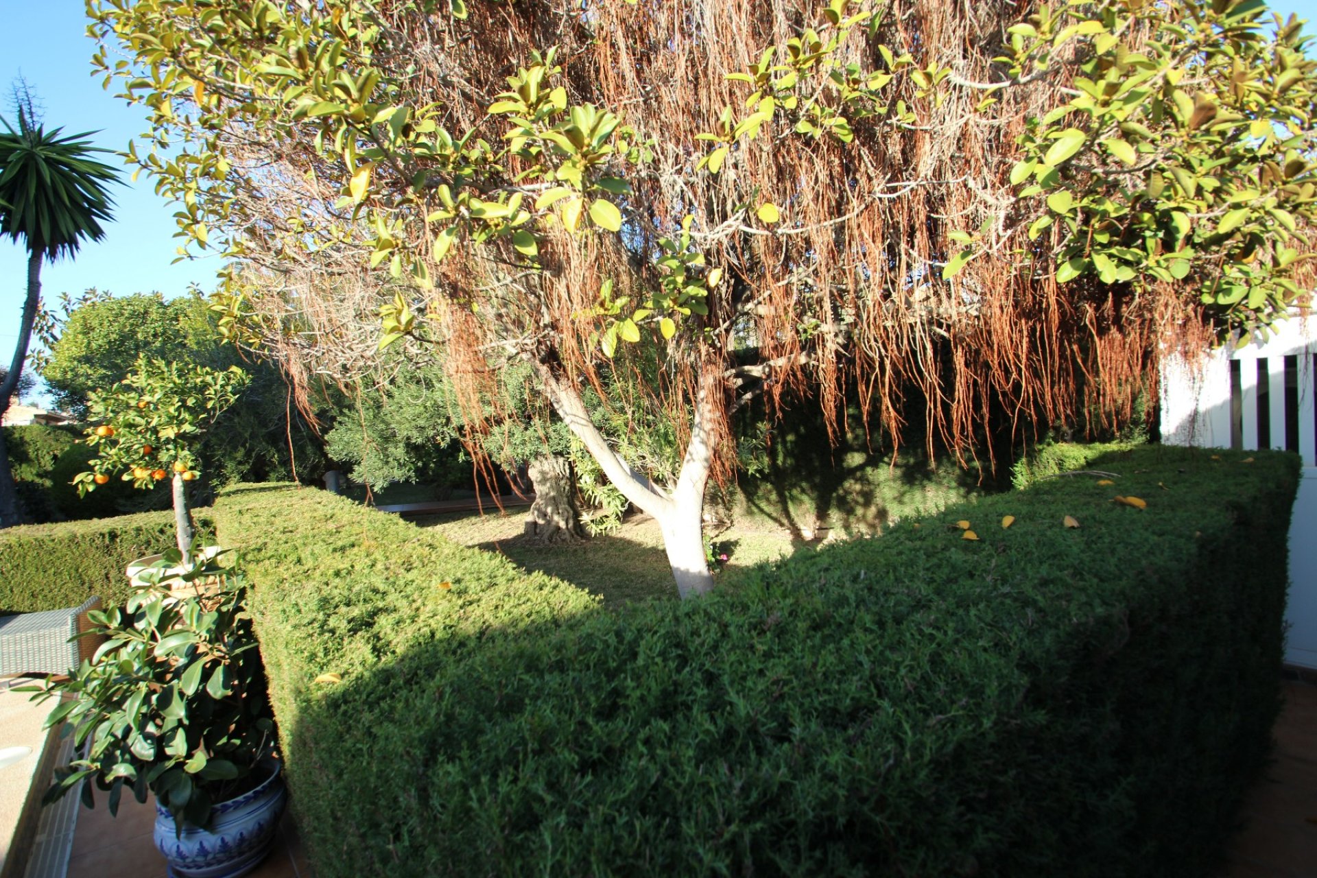 Venta - Casa - Orihuela costa - Cabo Roig