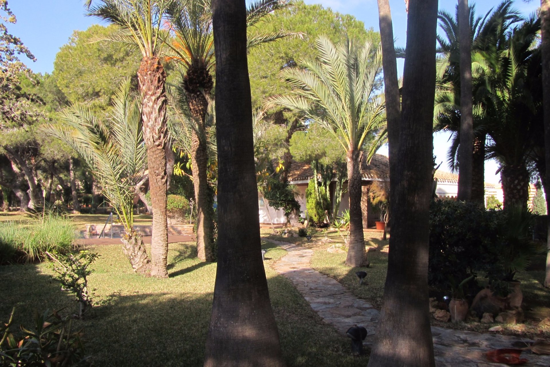 Venta - Casa - Orihuela costa - Dehesa de Campoamor