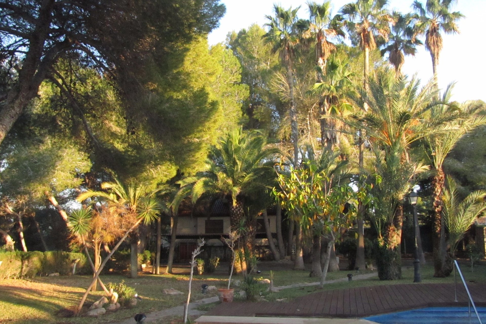 Venta - Casa - Orihuela costa - Dehesa de Campoamor