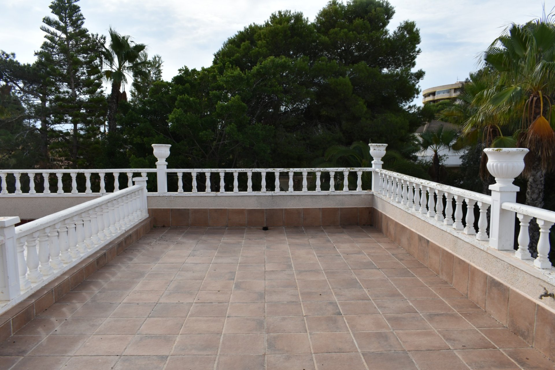 Venta - Casa - Orihuela costa - La Zenia