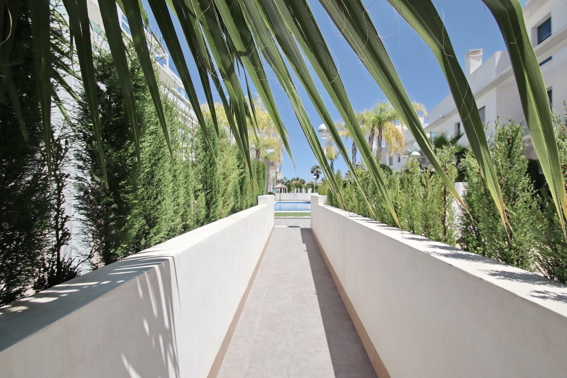 Venta - Casa - Rojales - Cuidad Quesada