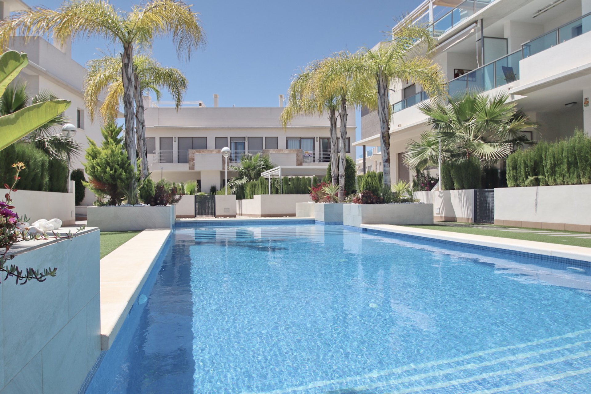 Venta - Casa - Rojales - Cuidad Quesada