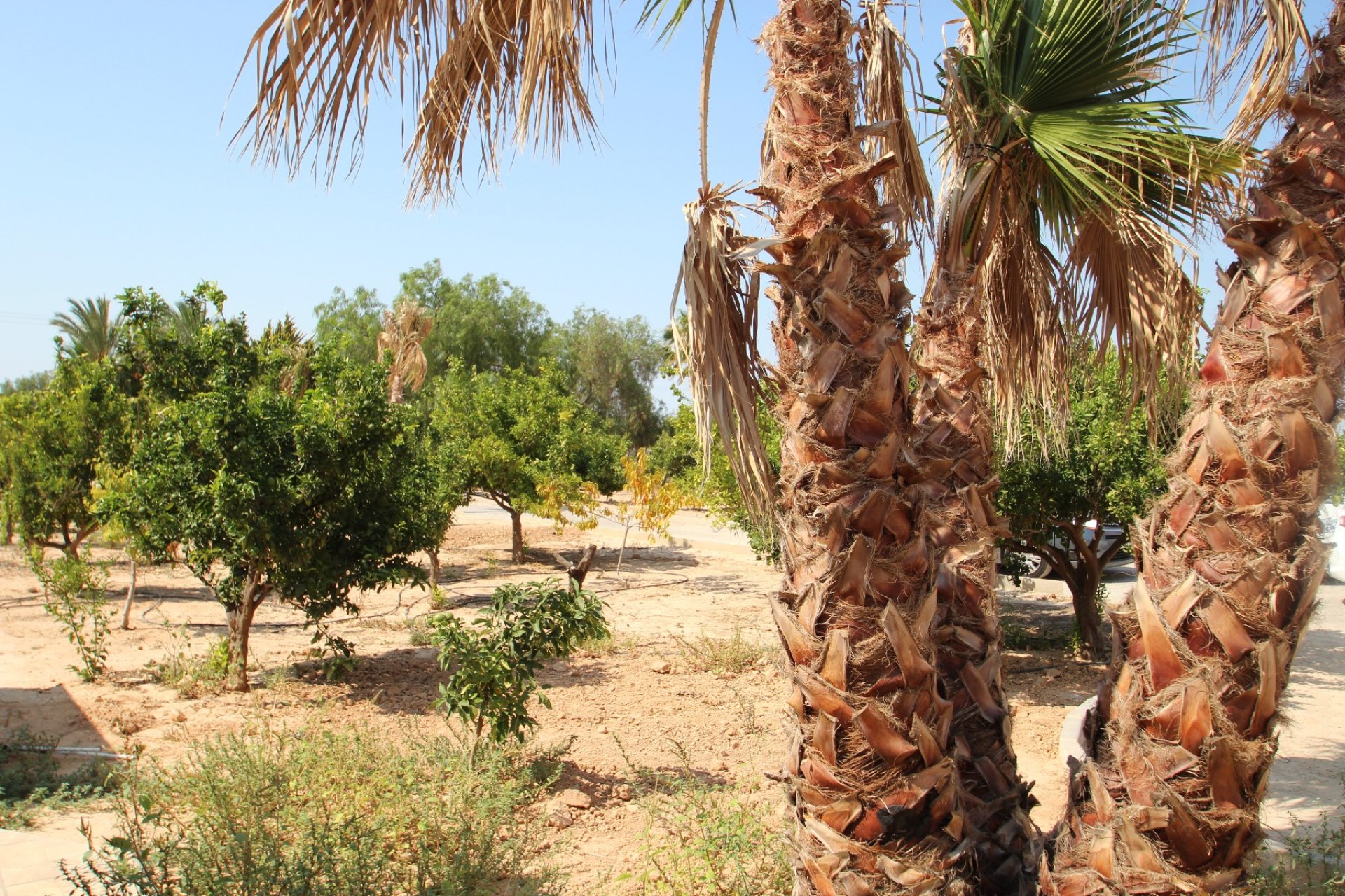 Venta - Casa - San Miguel de Salinas