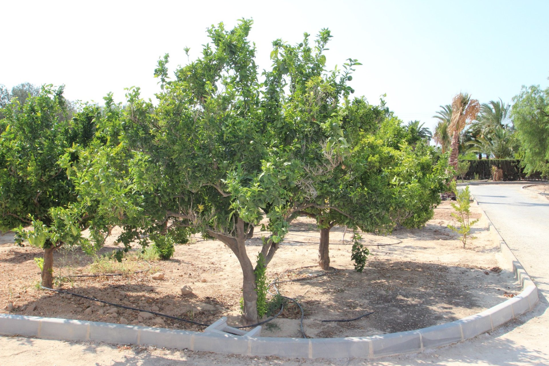 Venta - Casa - San Miguel de Salinas