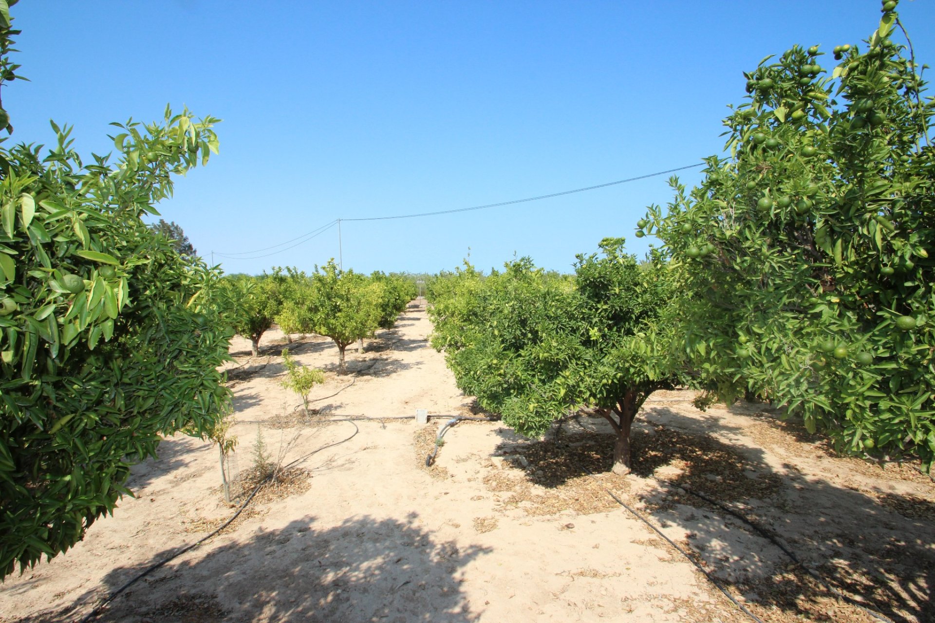 Venta - Casa - San Miguel de Salinas