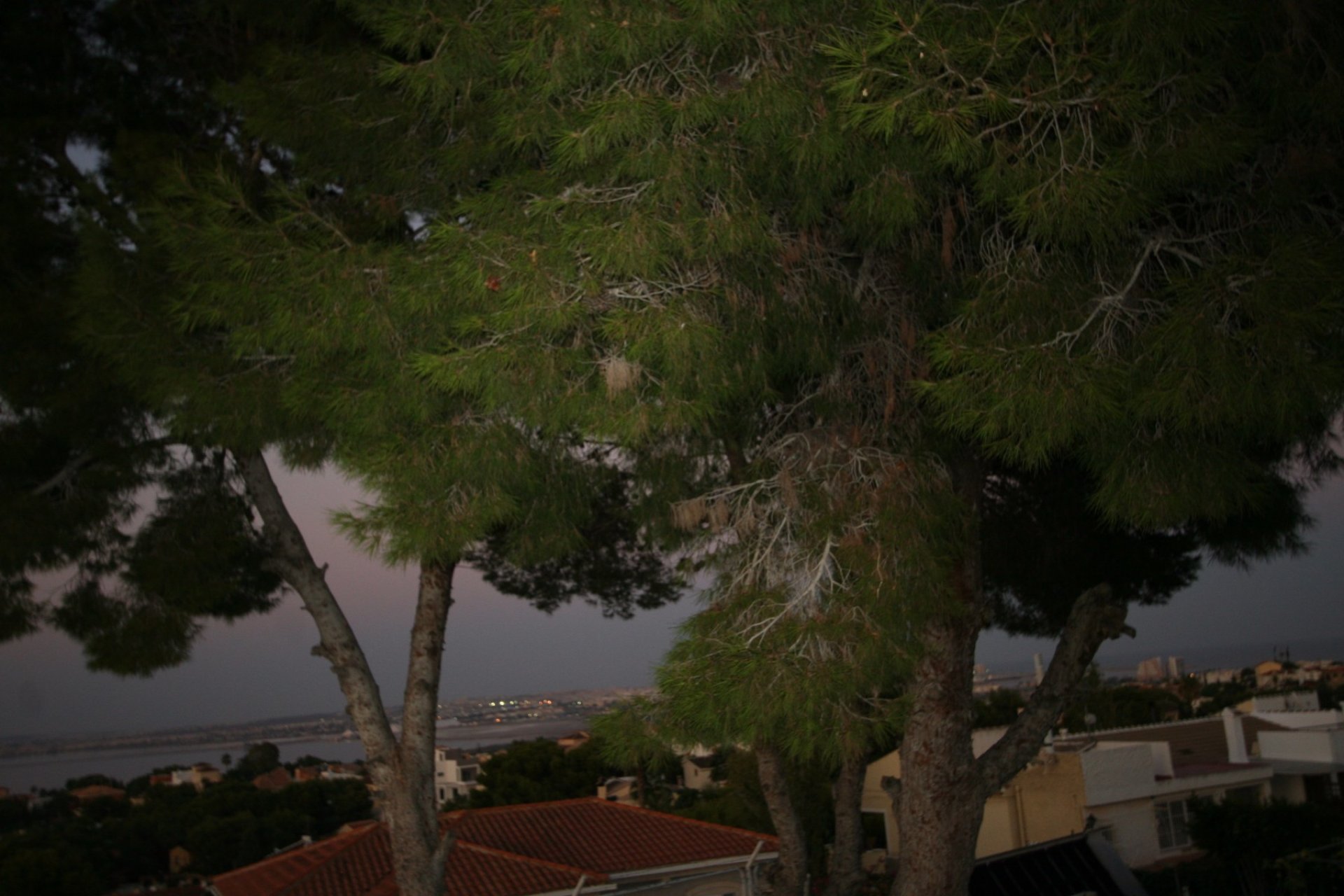 Venta - Casa - Torrevieja - Los Balcones 