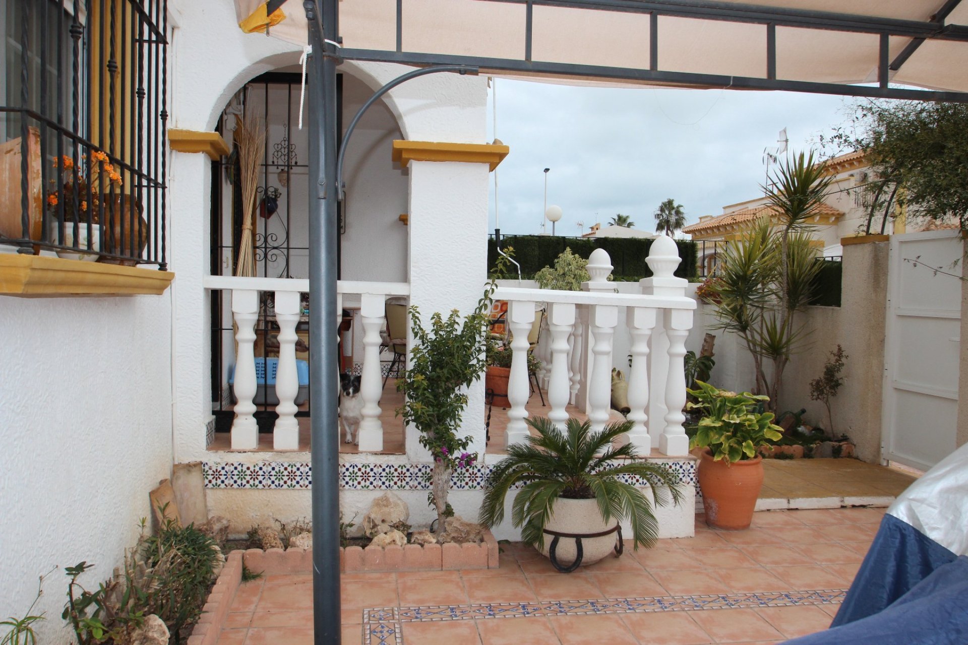 Venta - Casa - Torrevieja - Nueva Torrevieja /Aguas Nuevas